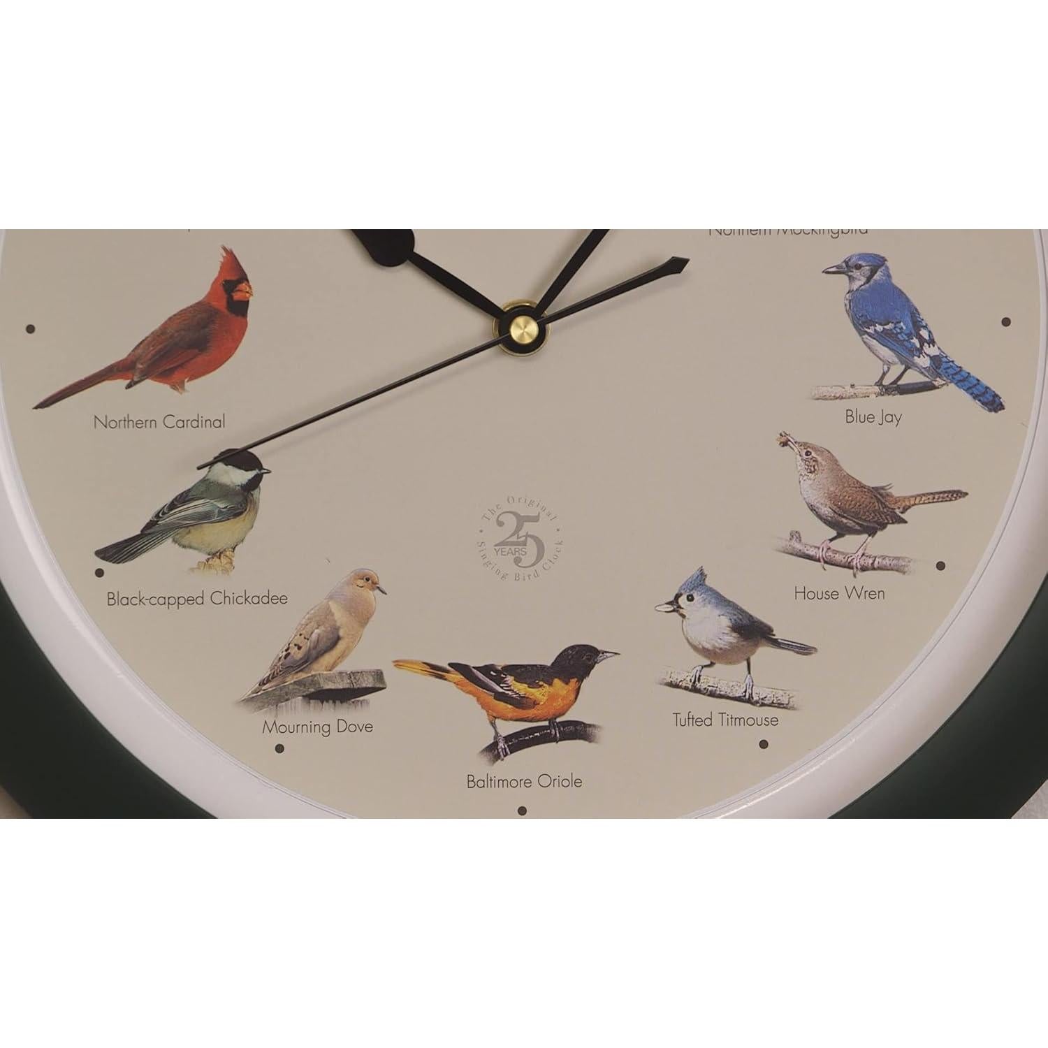 Reloj de Pájaro Cantor Mark Feldstein 25 Aniversario 33 cm Verde