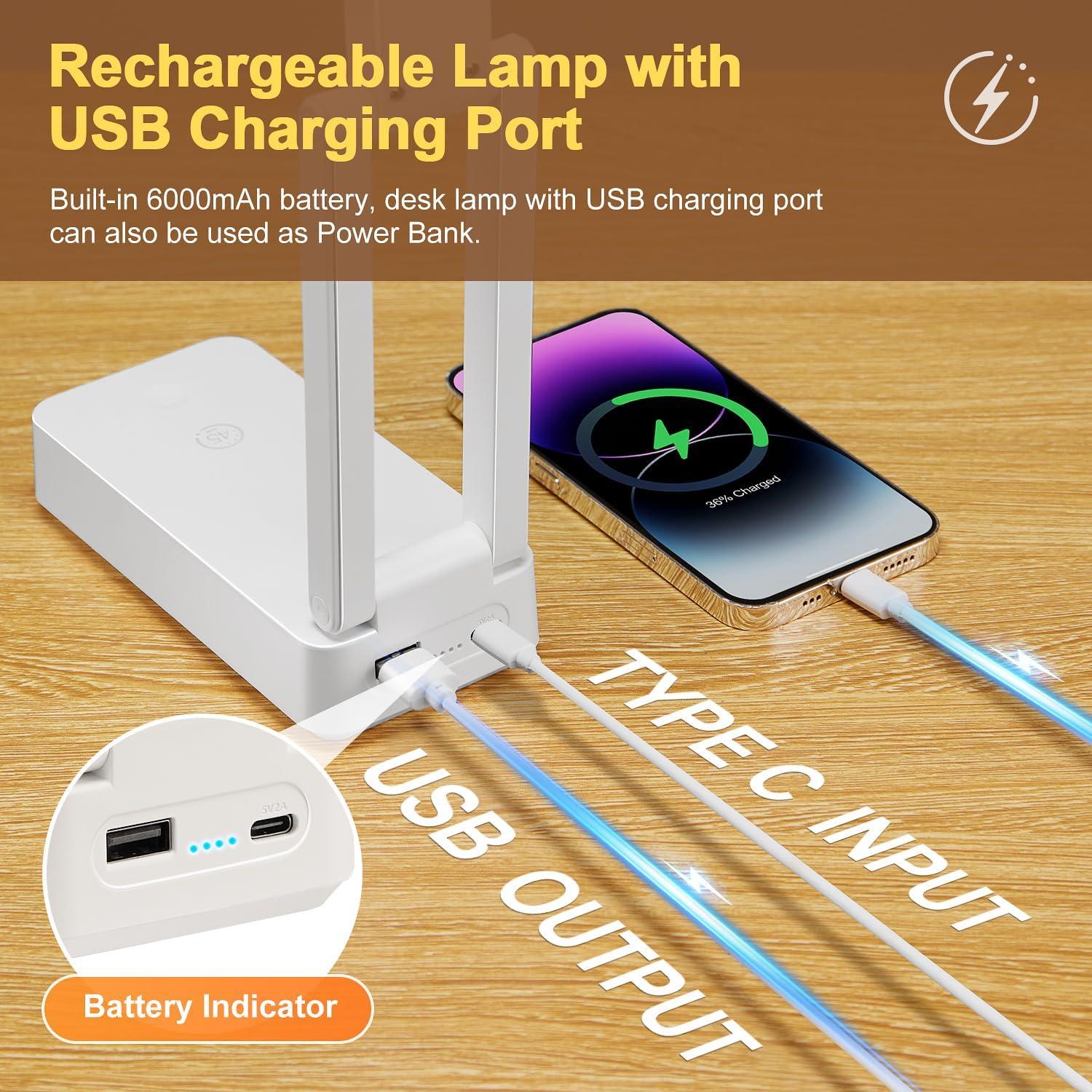 Lámpara Recargable TK WH-C30 6000mAh Luz Regulable USB