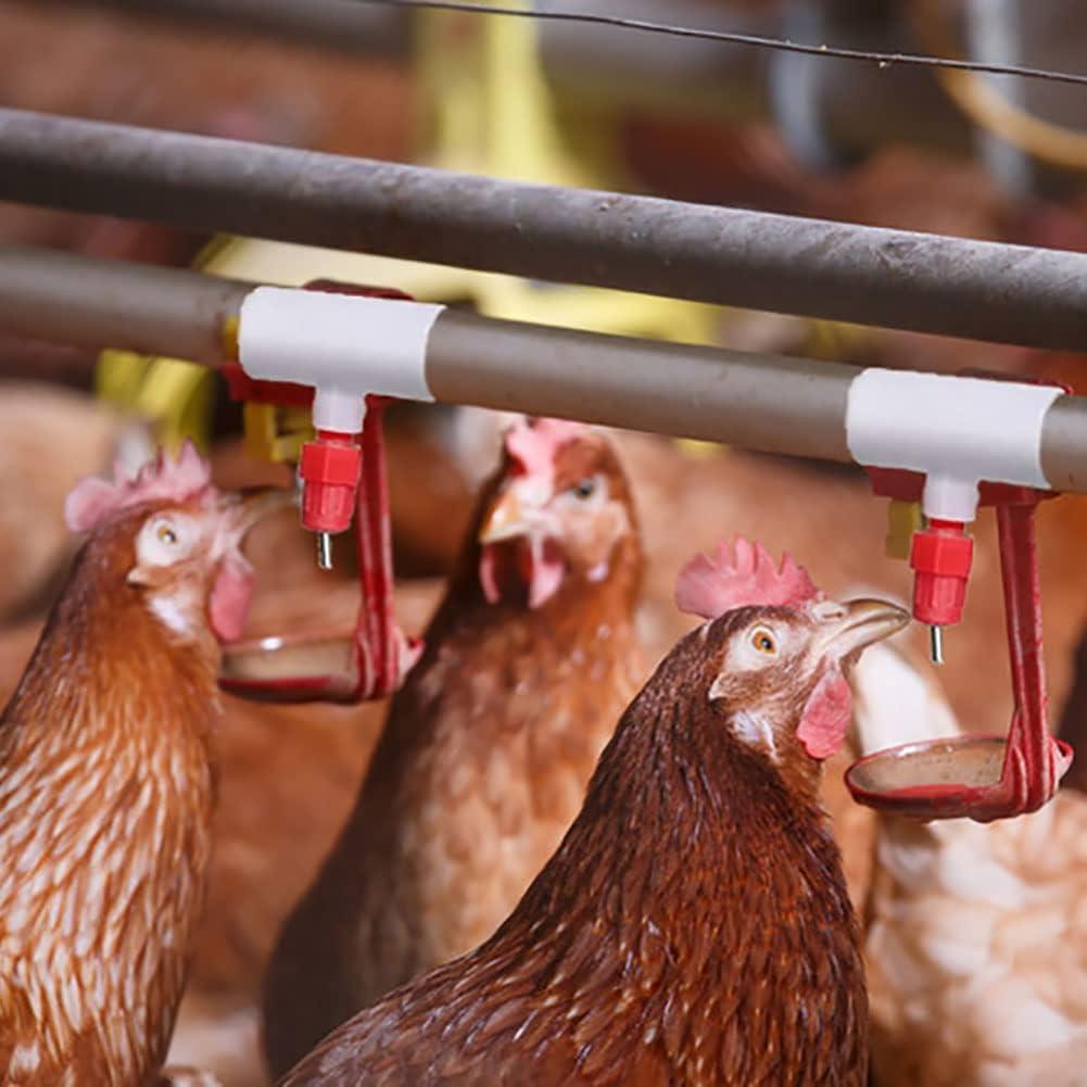 30 Accesorios Tee PVC Bebederos Pollo DredQcco 5cm