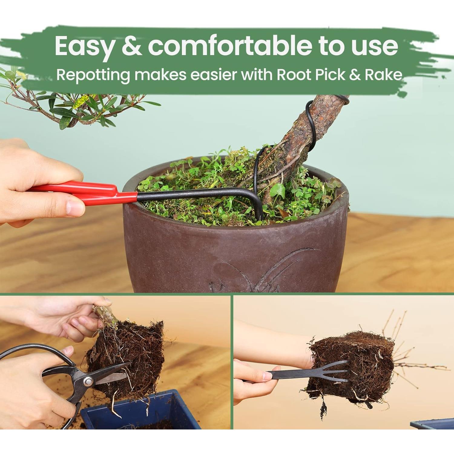 Juego de Herramientas de Bonsái SOLIGT 12 Piezas con Caja