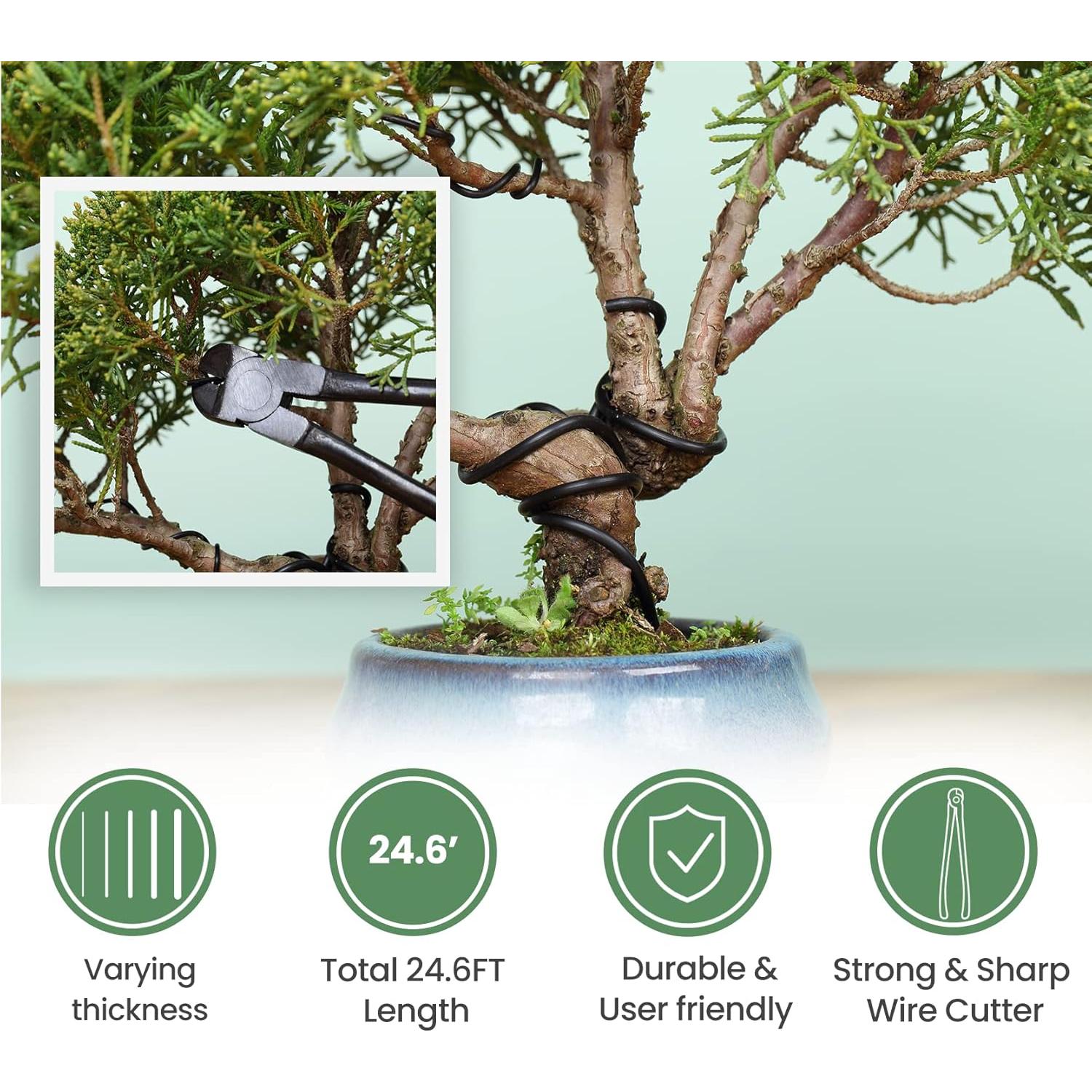 Juego de Herramientas de Bonsái SOLIGT 12 Piezas con Caja