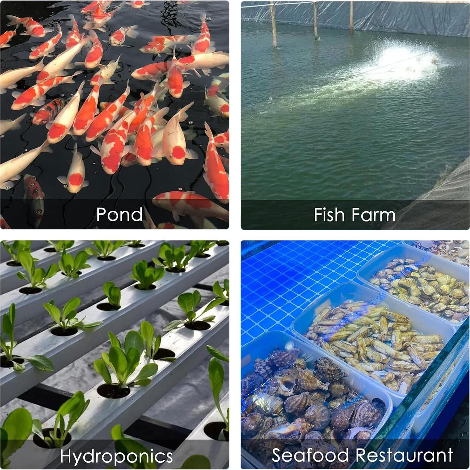 Bomba de aire para acuario Waayon 650GPH 20W eficiente