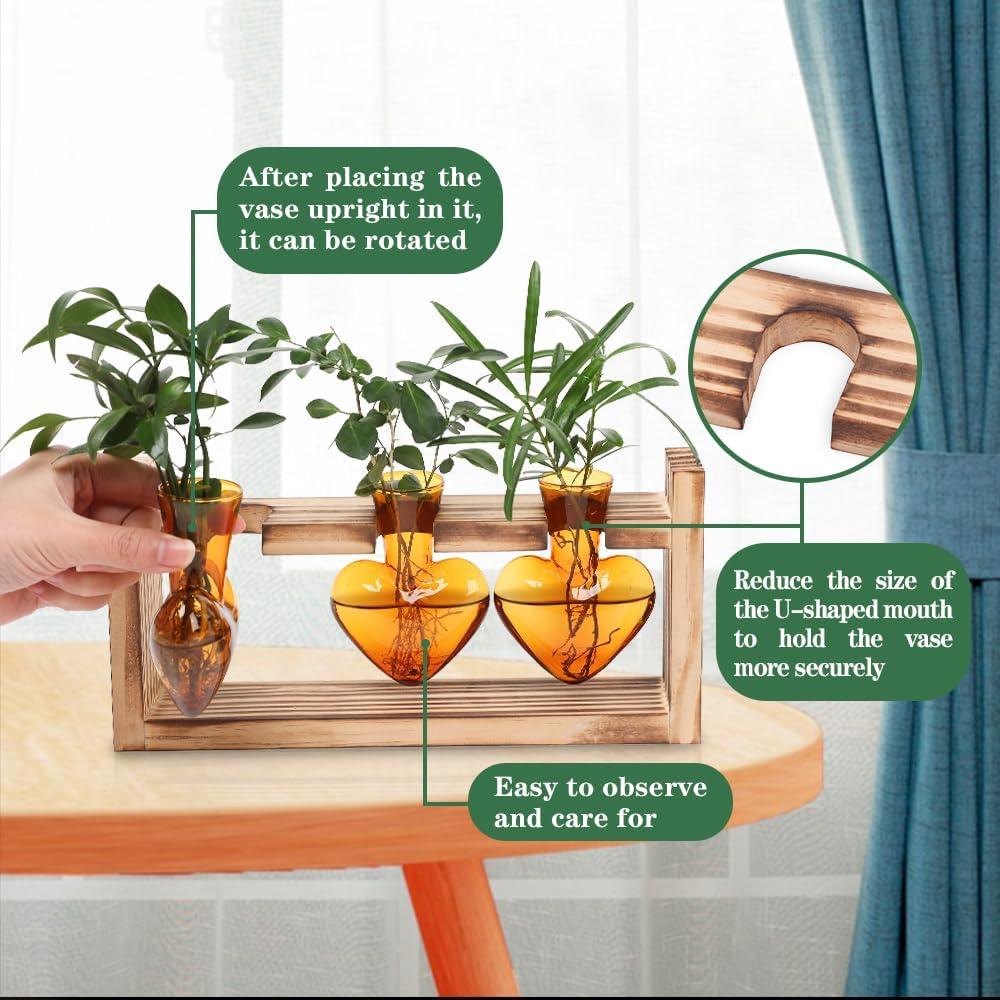 Terrario de Plantas MTsigns Corazón con Soporte de Madera