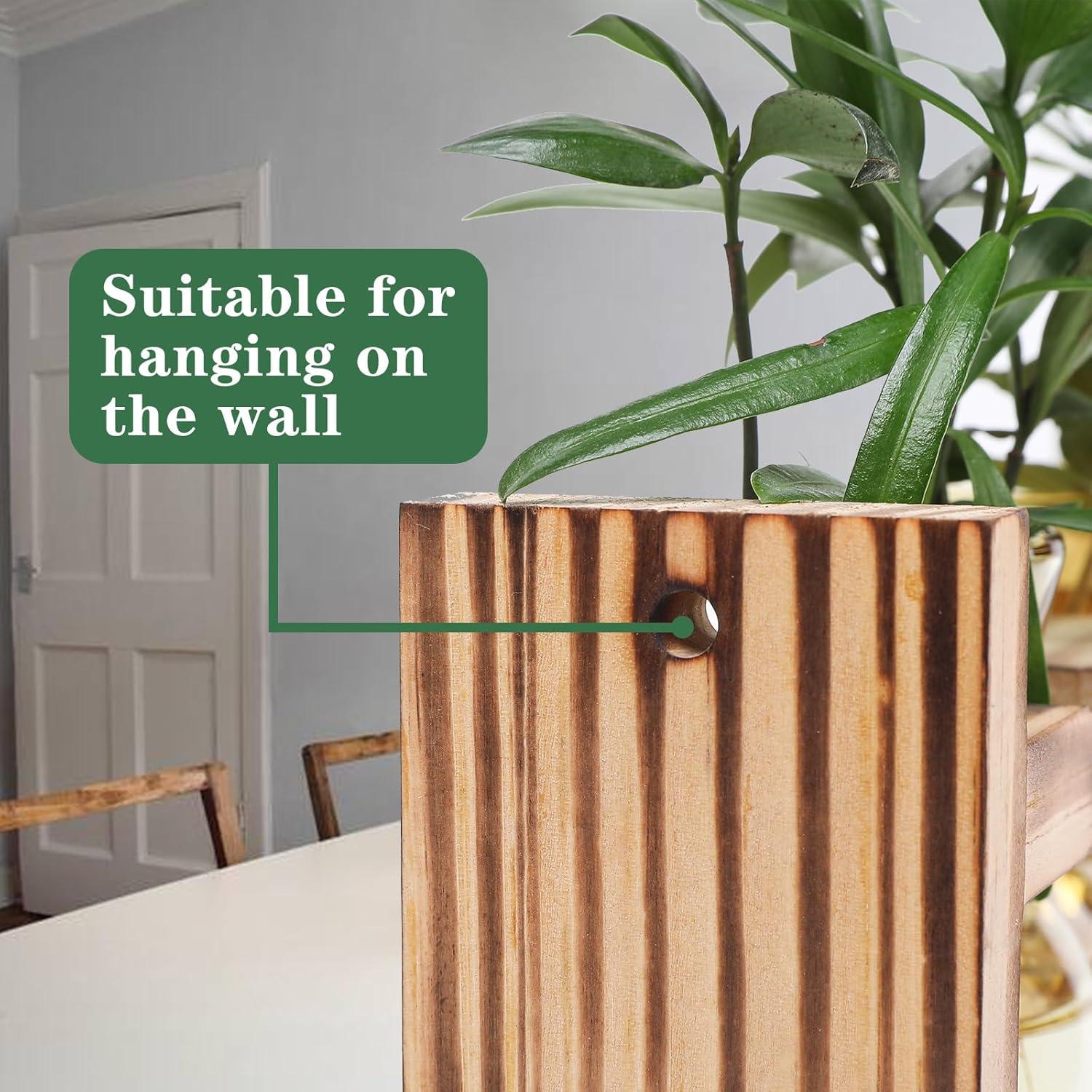 Terrario de Plantas MTsigns Corazón con Soporte de Madera