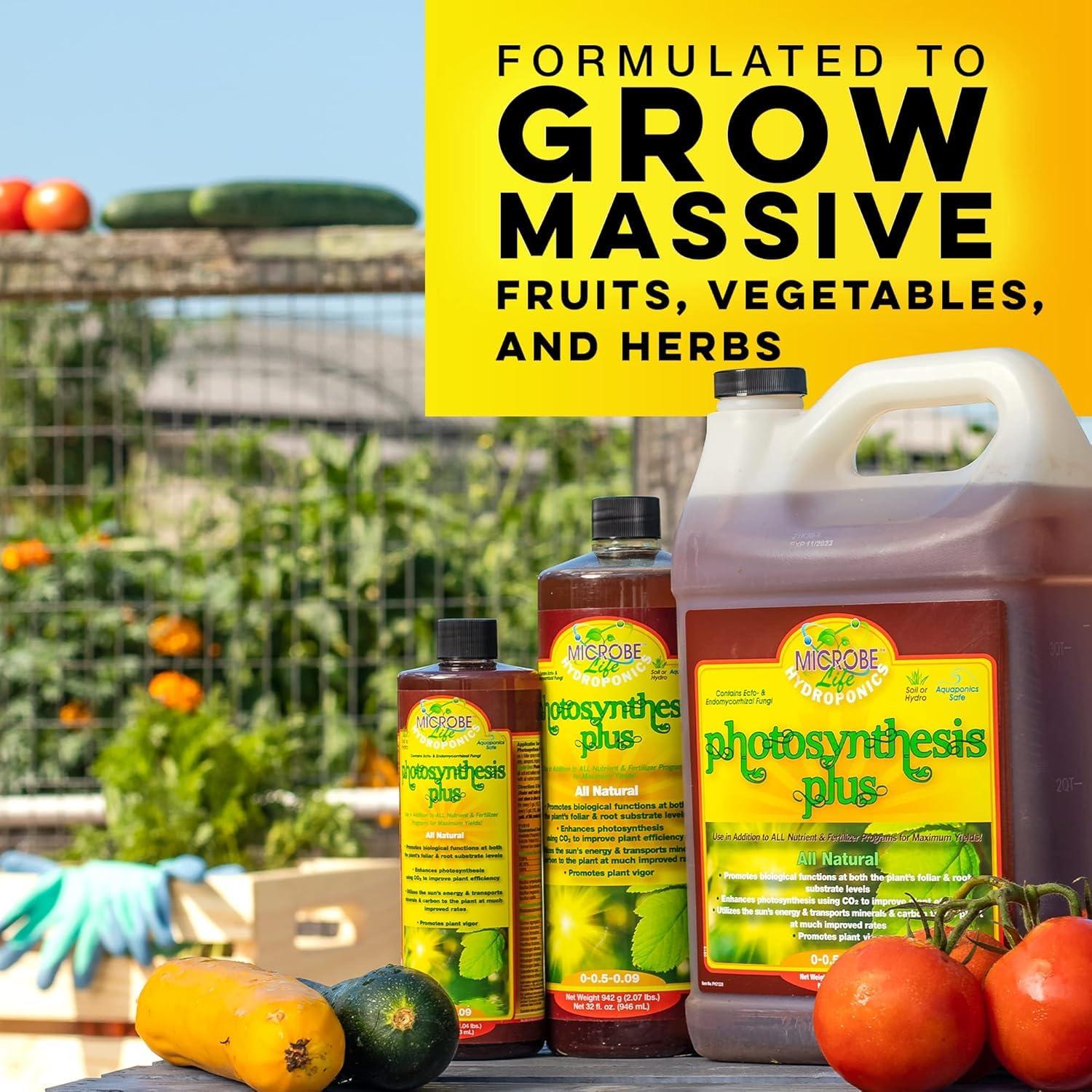 Kit de Control de pH Microbe Life Hydroponics 0.47 L