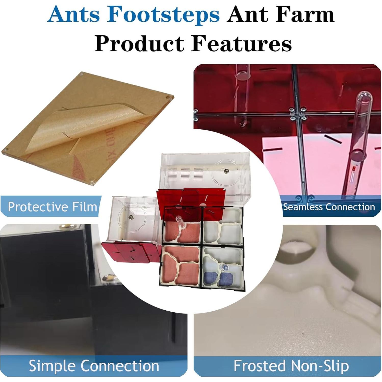 Kit Terrario Hormigas Ants Footsteps 30.68x30.68 cm