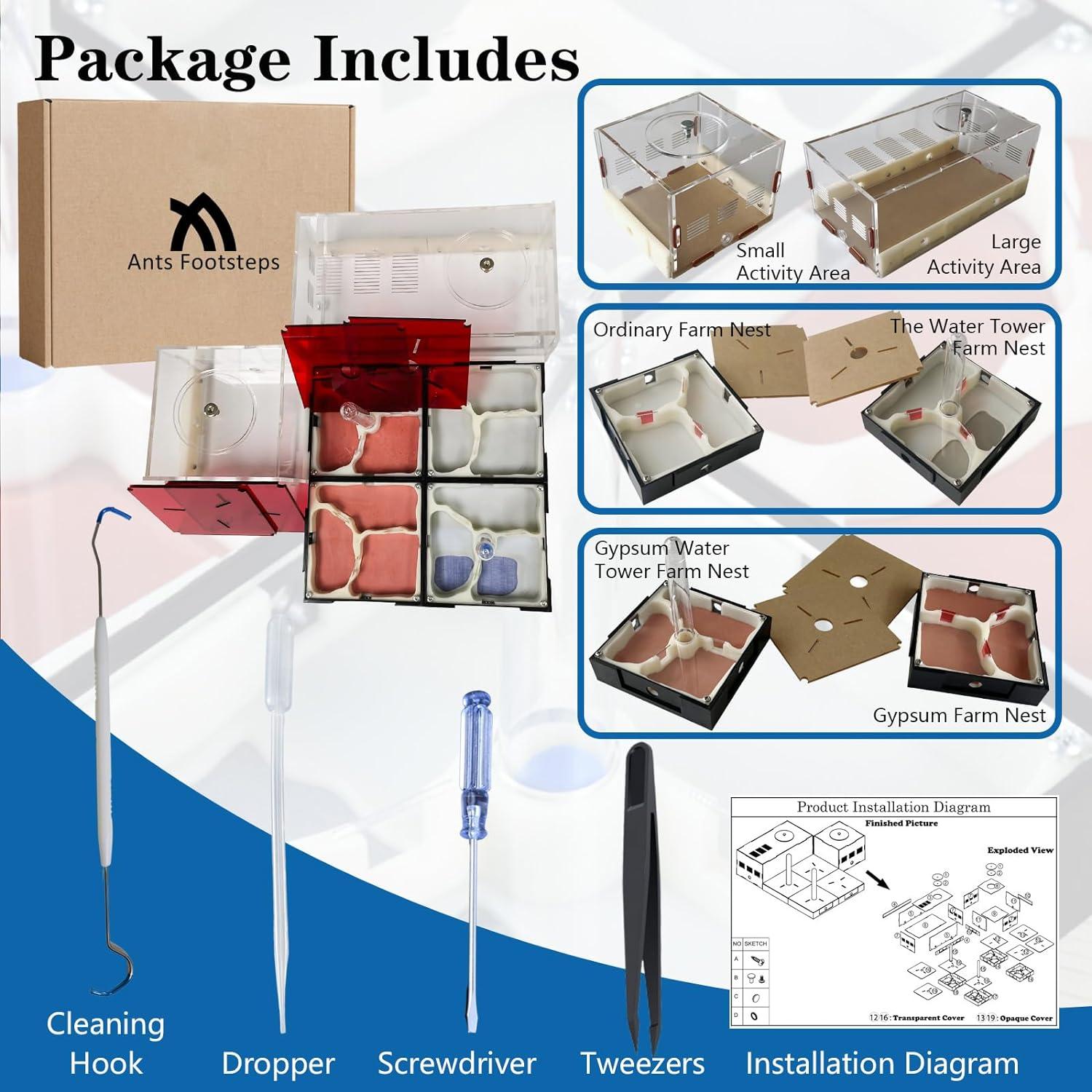 Kit Terrario Hormigas Ants Footsteps 30.68x30.68 cm