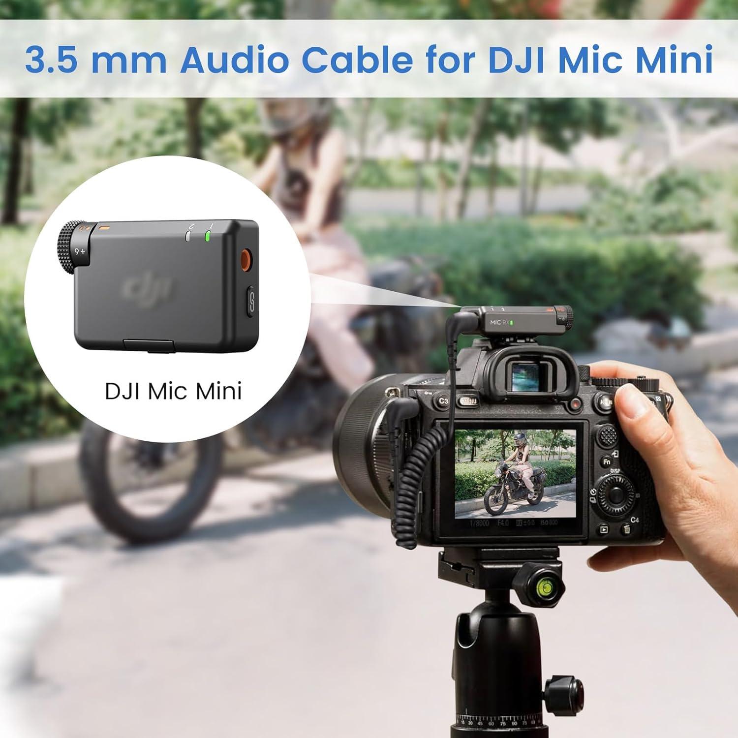 Paquete de 2 Cables de Micrófono 3.5mm Weishan Espiral