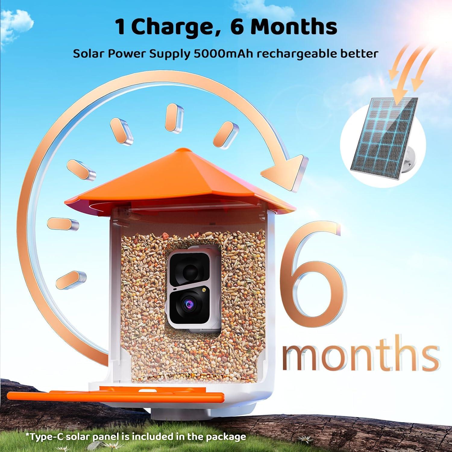 Comedero Inteligente para Aves Buenkee - 2K HD, Solar, 1.8L