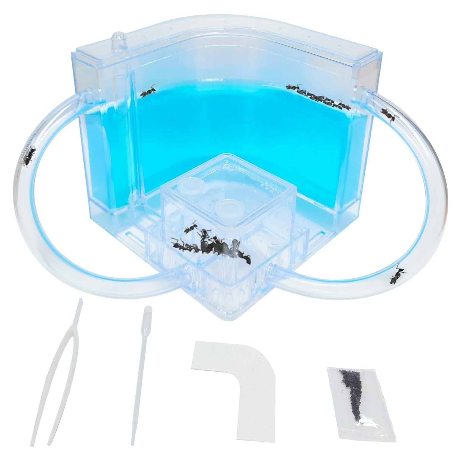 Granja de Hormigas EXBEPE Castillo de Gel 20cm para Niños