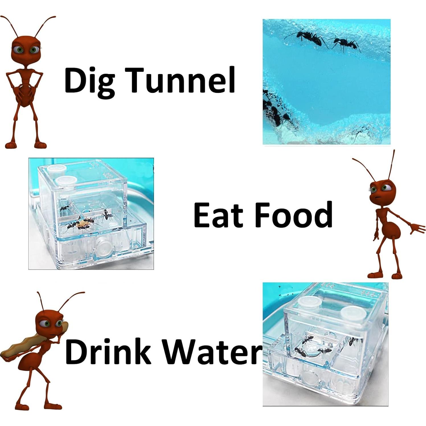 Granja de Hormigas EXBEPE Castillo de Gel 20cm para Niños