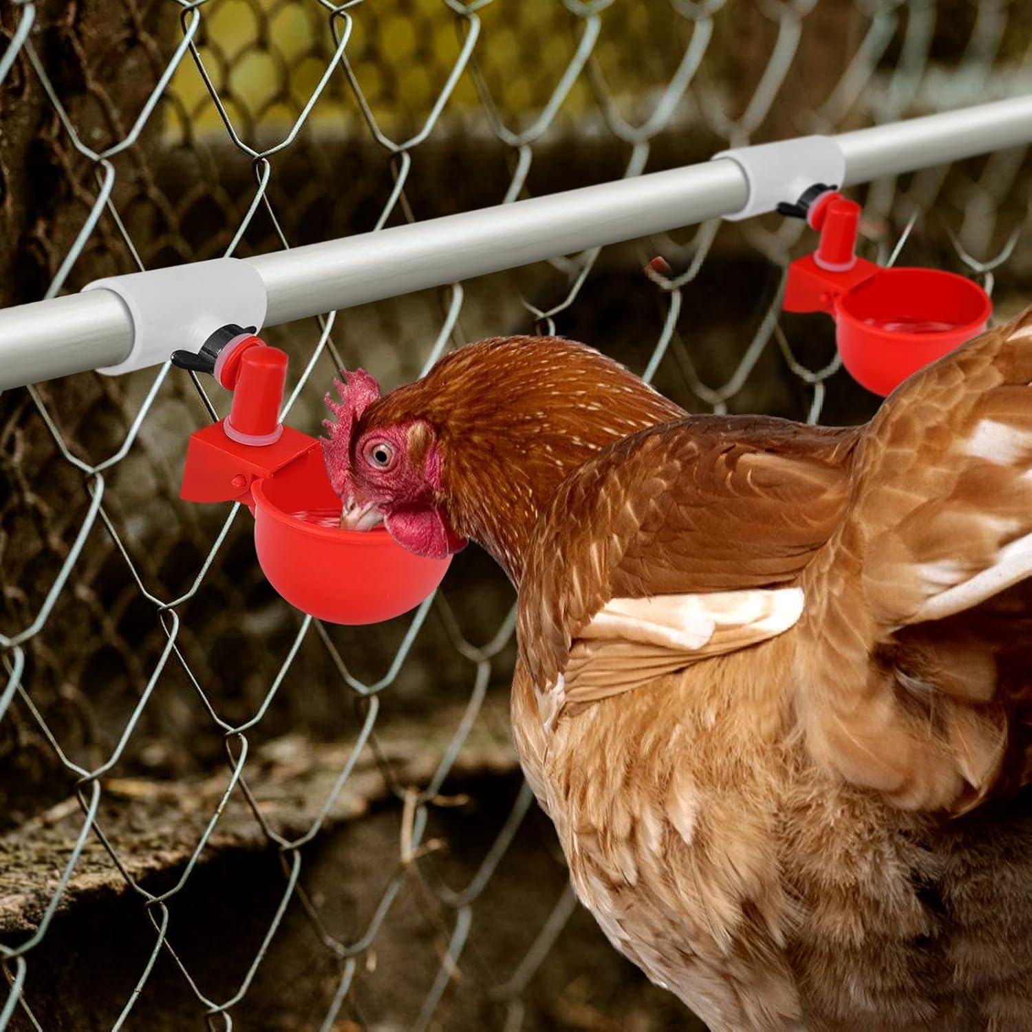 Paquete de 12 Accesorios en T de PVC para Bebederos de Pollo