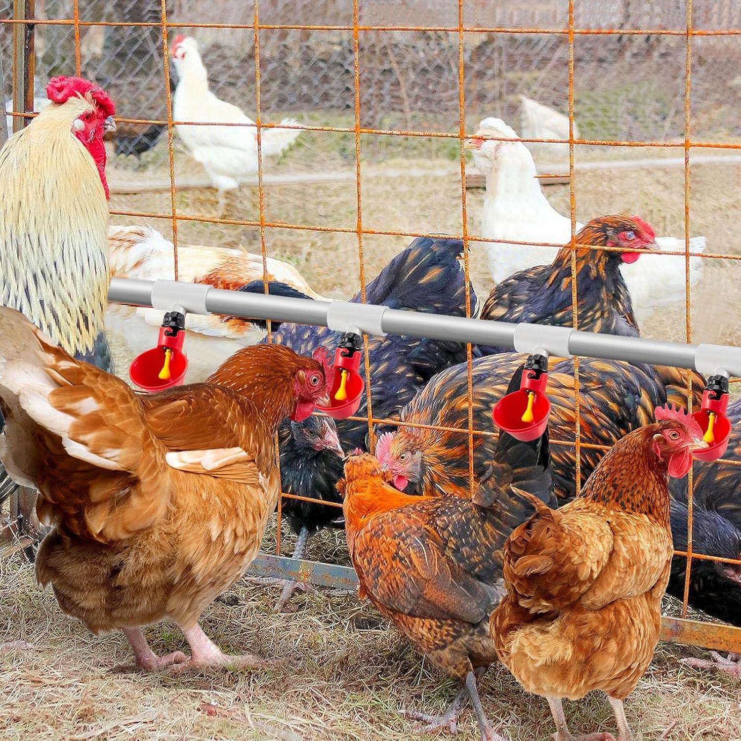 Paquete de 12 Accesorios en T de PVC para Bebederos de Pollo