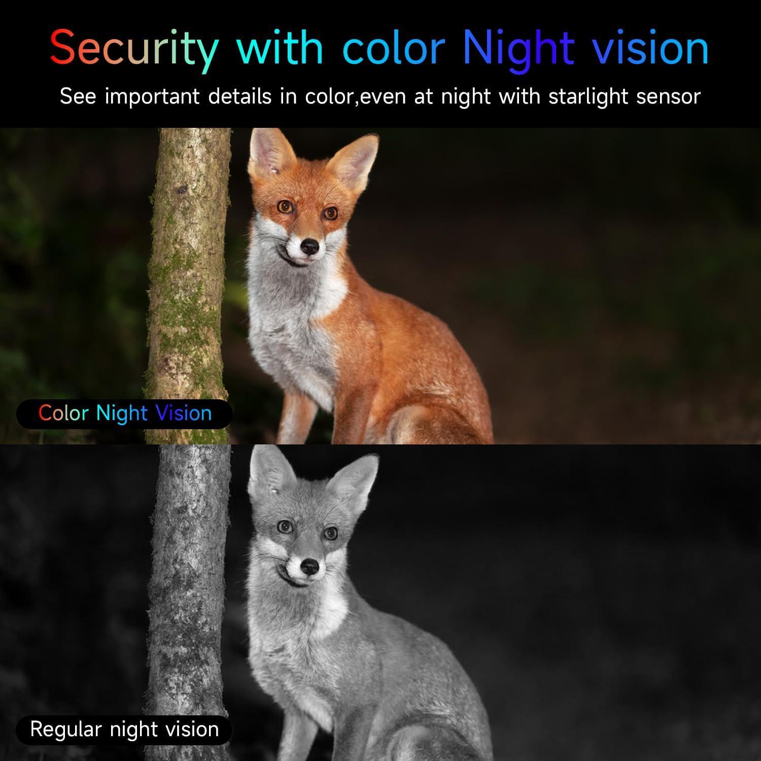 Cámara de Seguridad Inalámbrica RICHCHO 2K Exterior IP66