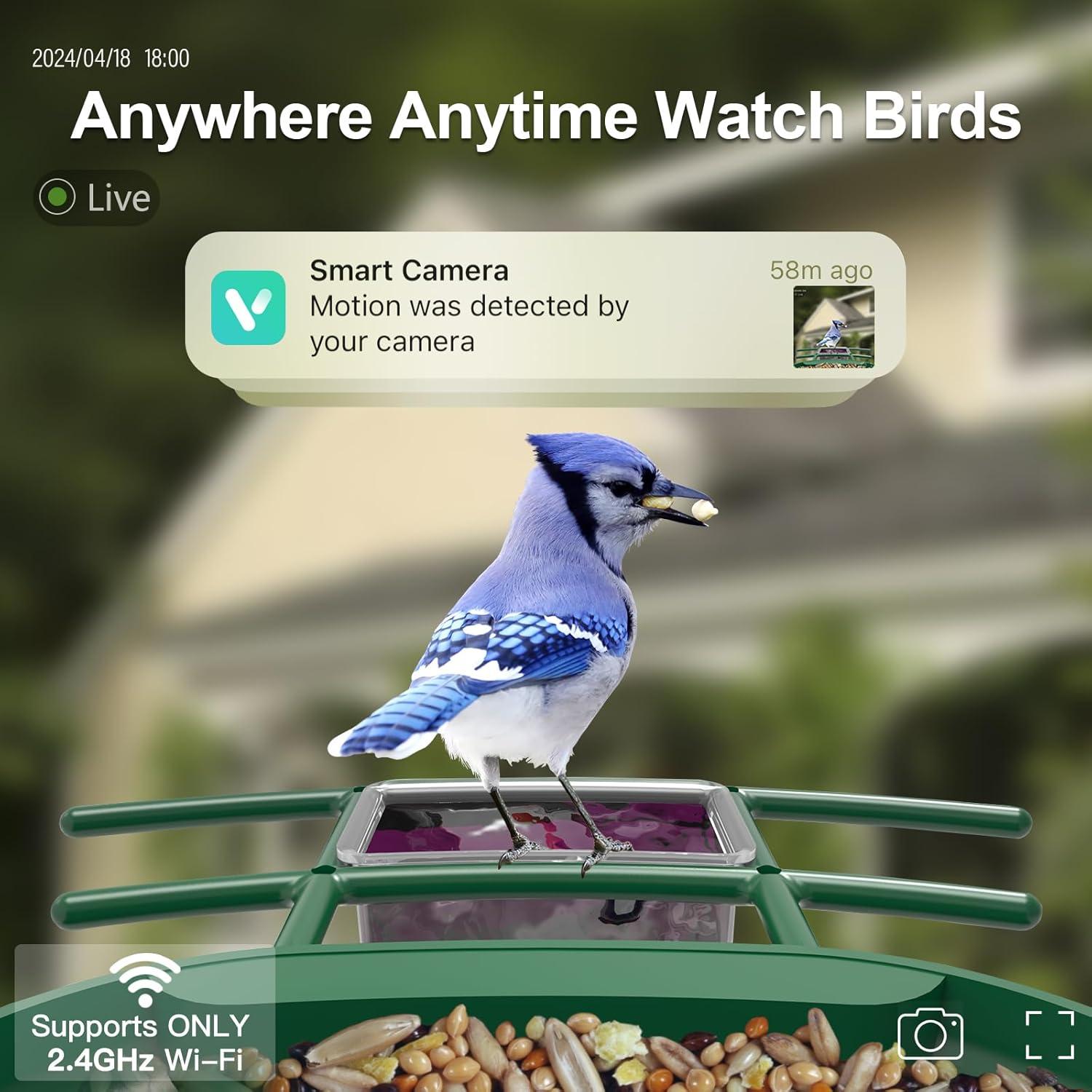 Comedero para Aves Onlyfly con Cámara 2K y Solar