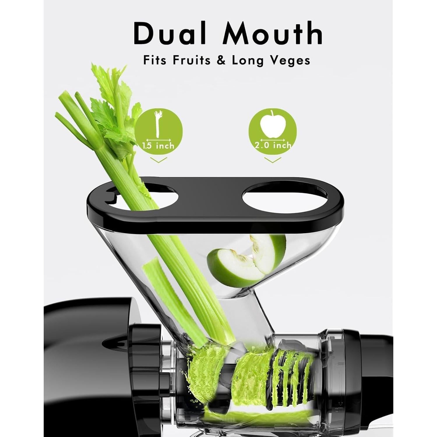 Exprimidor Lento SIFENE JS3304 280ml Negro Sin BPA