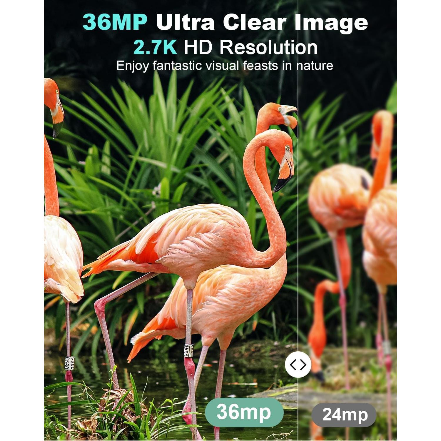 Cámara de sendero KJK 36MP 2.7K visión nocturna IP66