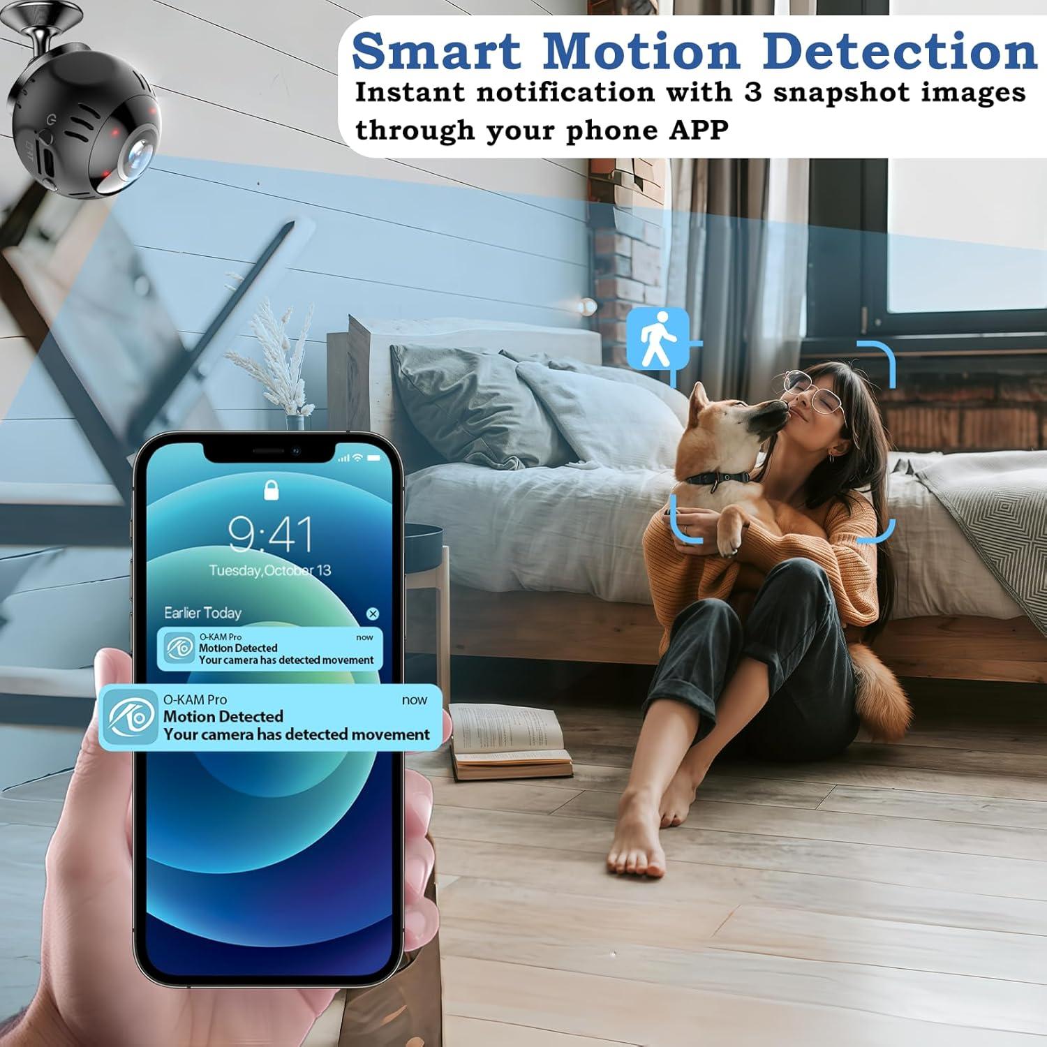 Cámara Espía WiFi Inalámbrica 1080P LAIFUCAM Seguridad