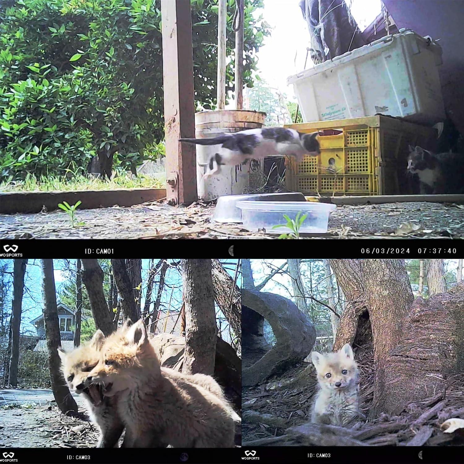 Cámara de sendero WOSPORTS 24MP 1080P HD 2 paquetes