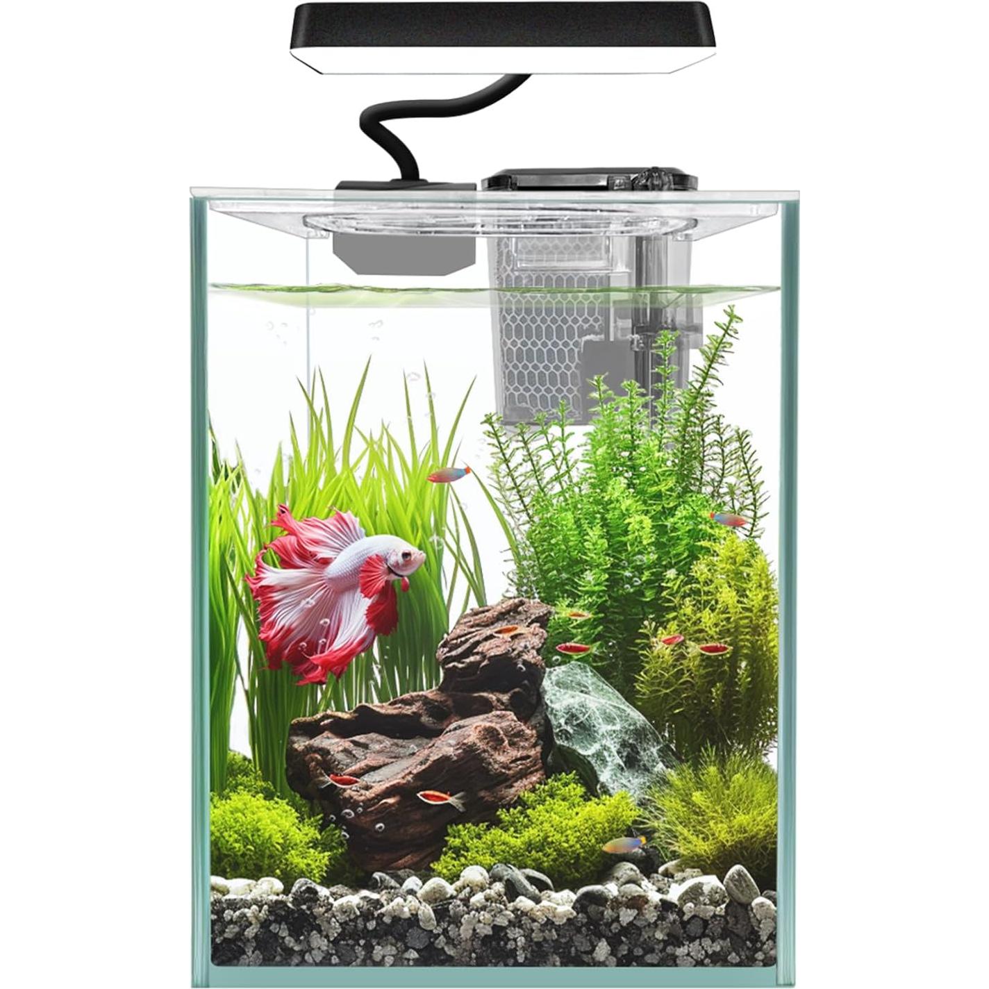 Acuario de Vidrio iPriro 1.5 Galones con Luz LED y Filtro