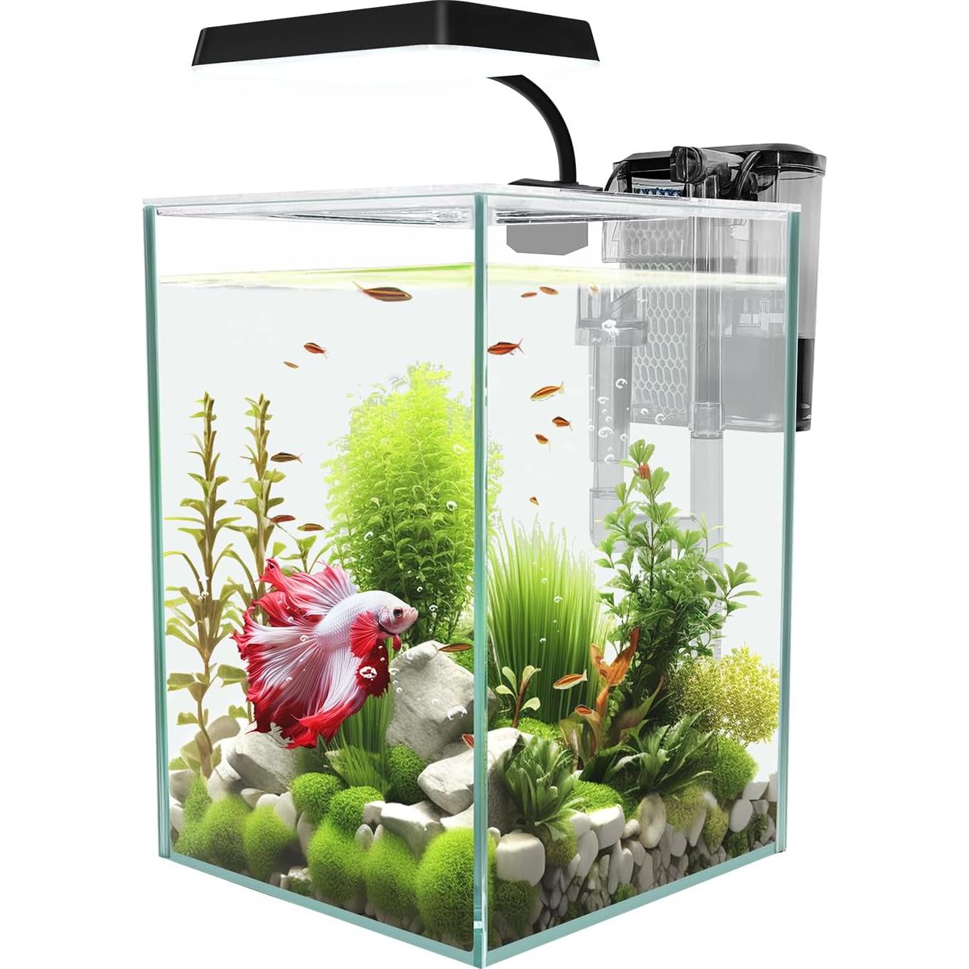 Acuario de Vidrio iPriro 1.5 Galones con Luz LED y Filtro