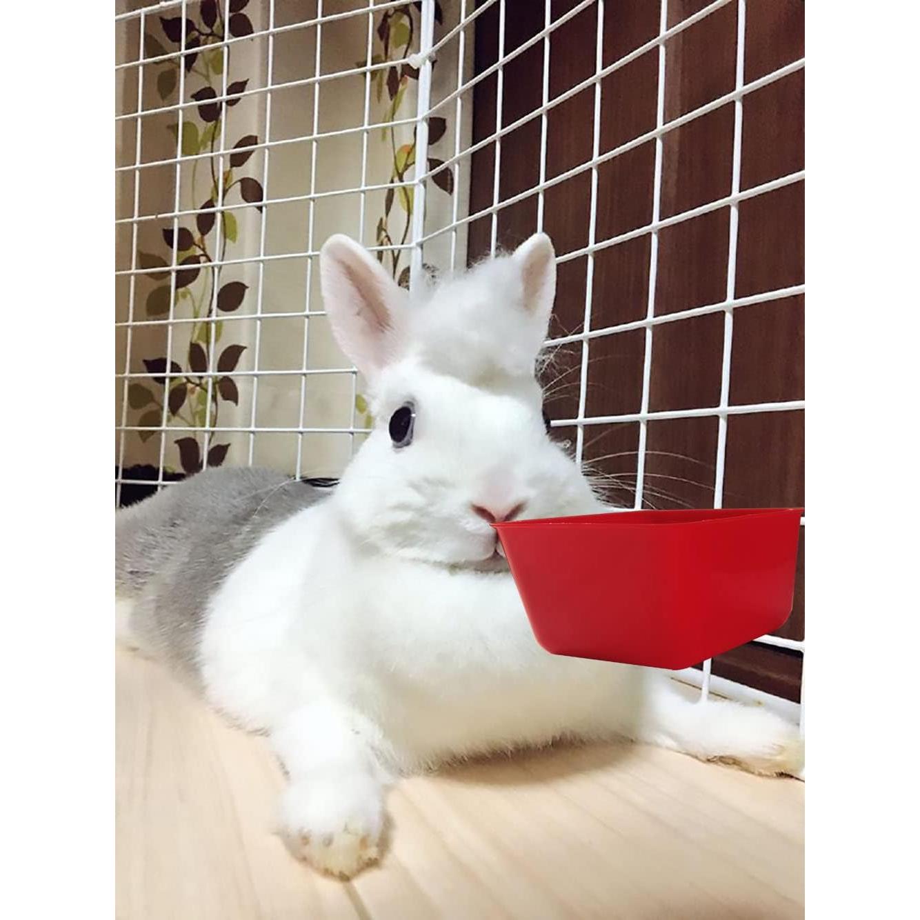 Taza Colgante para Aves ORIBUKI 20 Piezas 473 ml Rojo