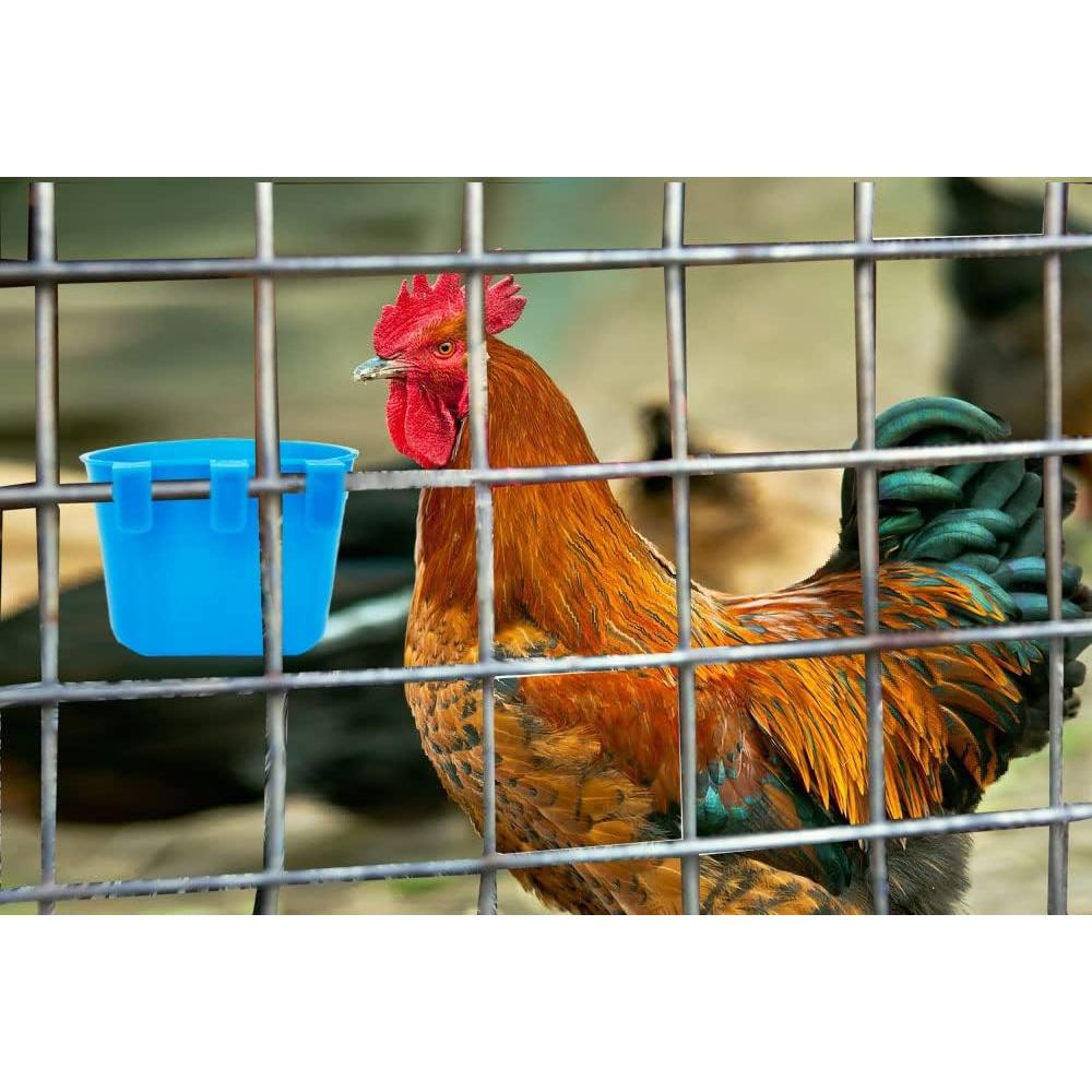 Paquete de 20 tazas colgantes 240 ml para aves y conejos