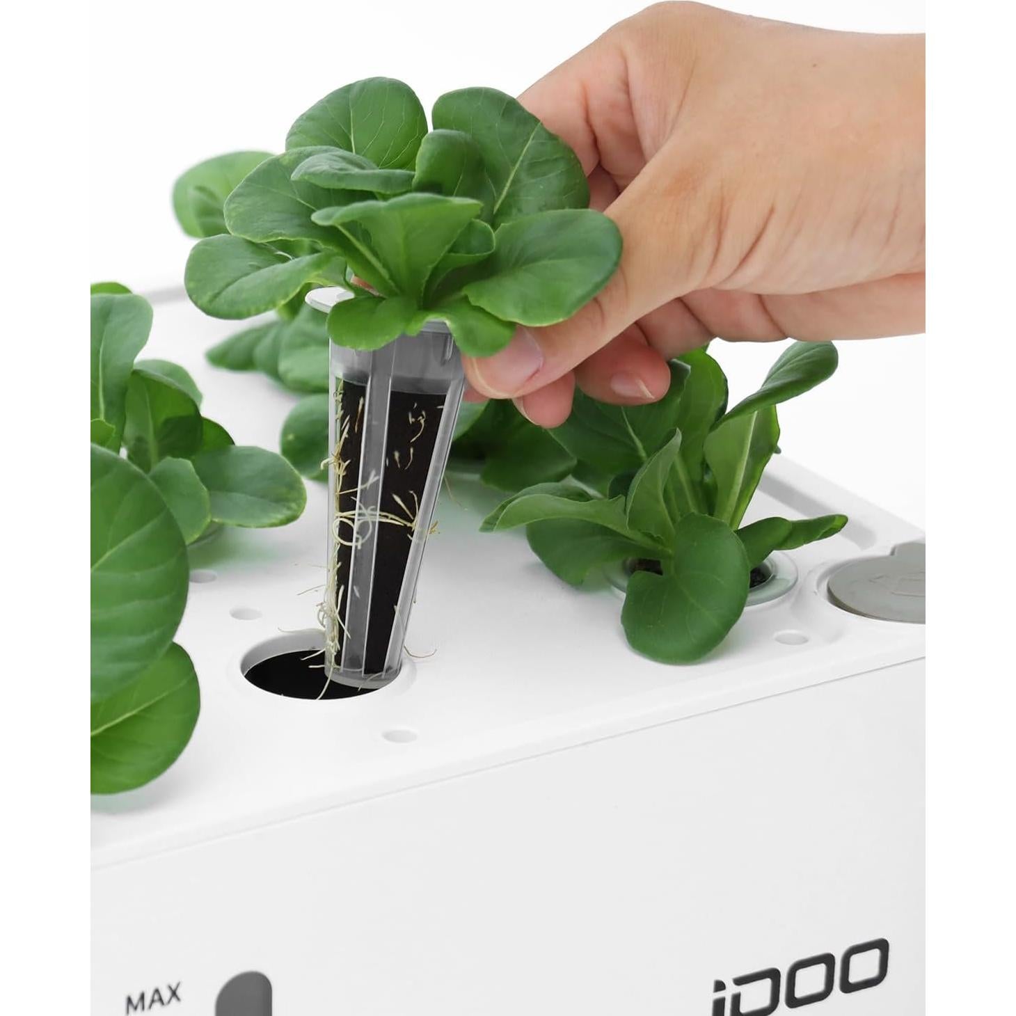 Kit de Jardinería Hidropónica iDOO con 12 Esponjas y Accesorios