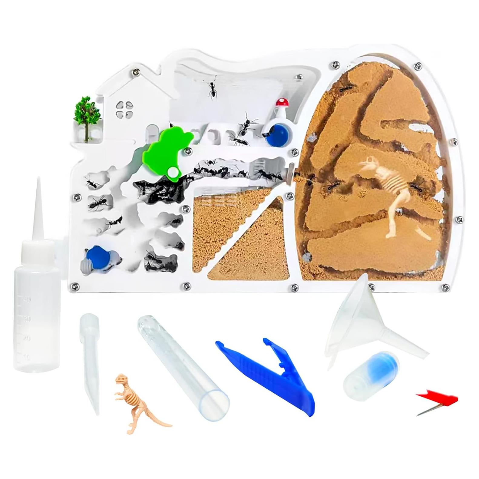 Granja de Hormigas EXBEPE con Excavación de Dinosaurio