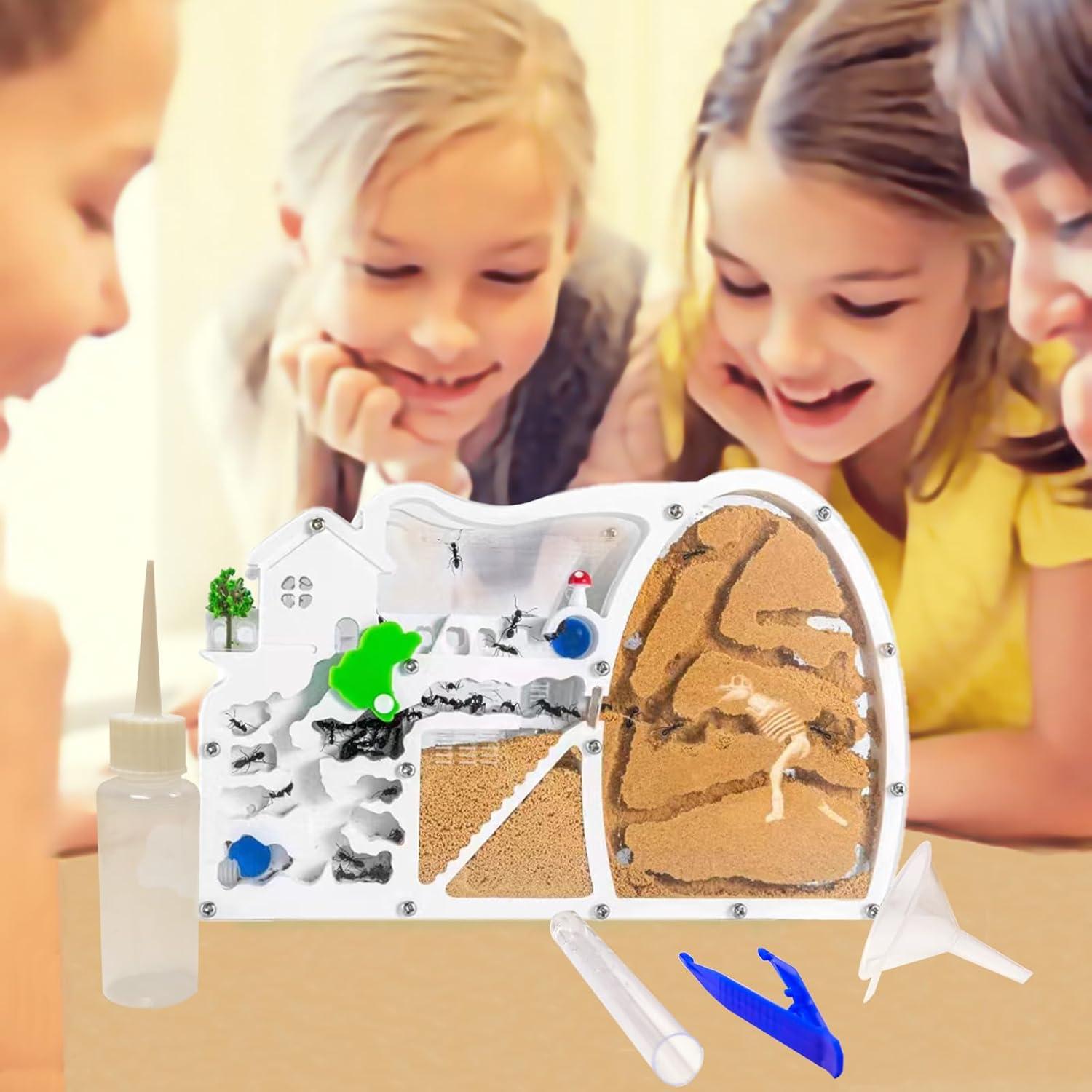 Granja de Hormigas EXBEPE con Excavación de Dinosaurio