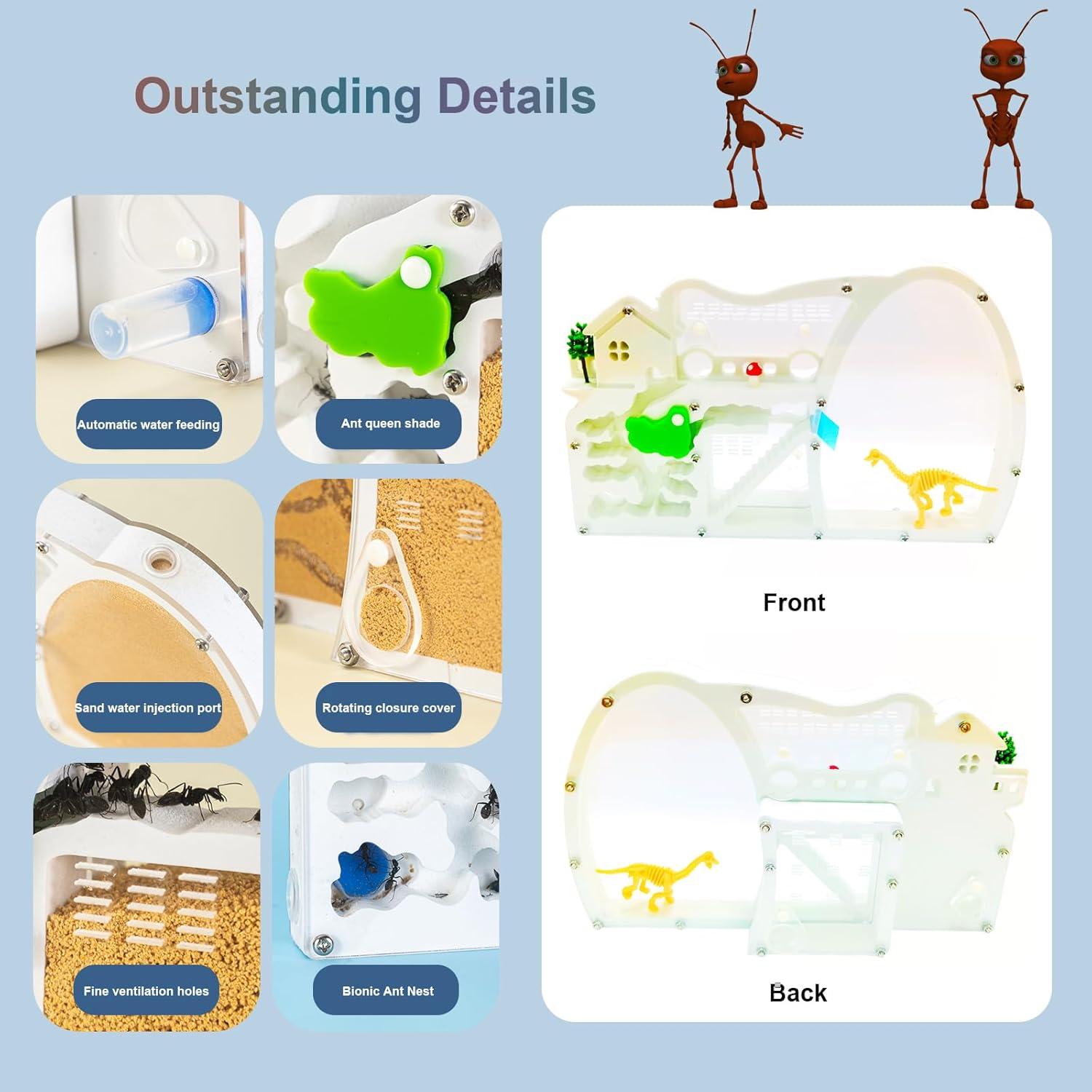 Granja de Hormigas EXBEPE con Excavación de Dinosaurio