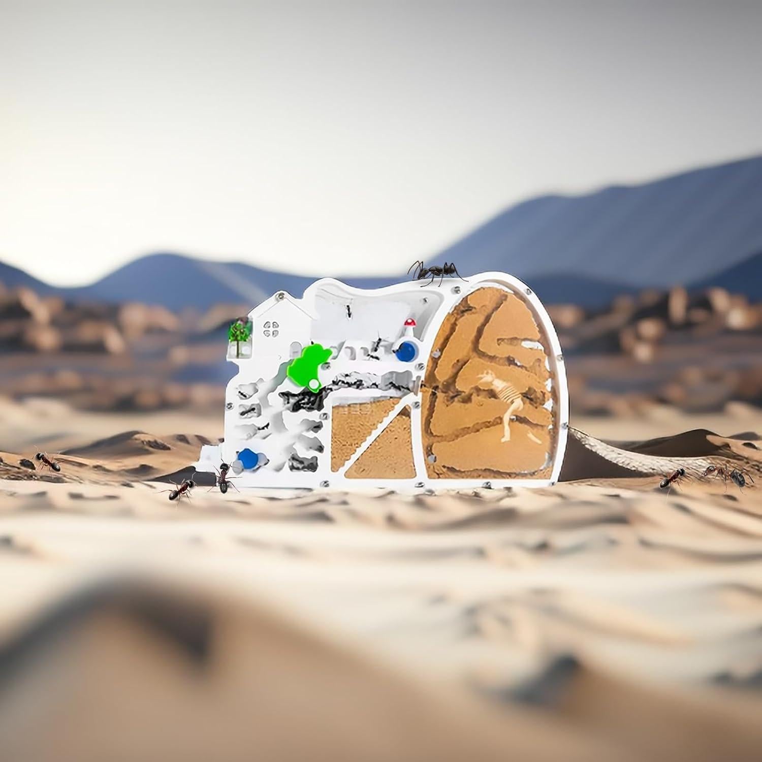 Granja de Hormigas EXBEPE con Excavación de Dinosaurio