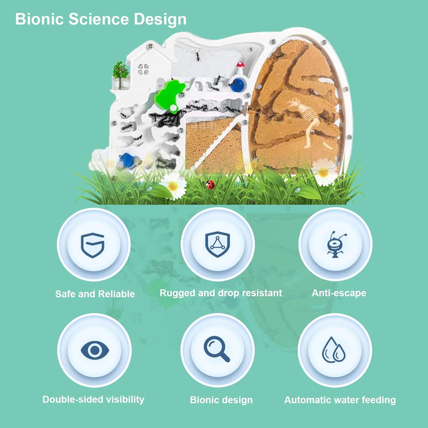 Granja de Hormigas EXBEPE con Excavación de Dinosaurio