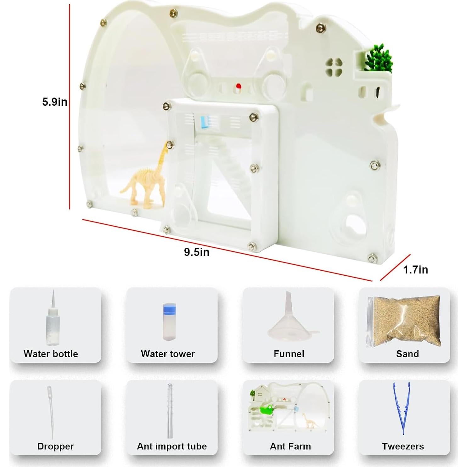 Granja de Hormigas EXBEPE con Excavación de Dinosaurio