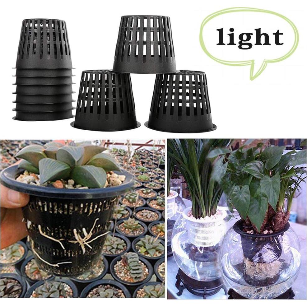 Tazas Hidropónicas Panxxsen 7,62 cm 50 PCS Resistente