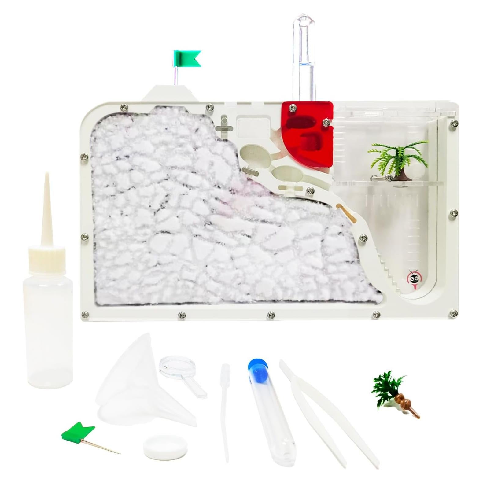 Castillo de Hormigas EXBEPE 23.88x14.99cm Educativo