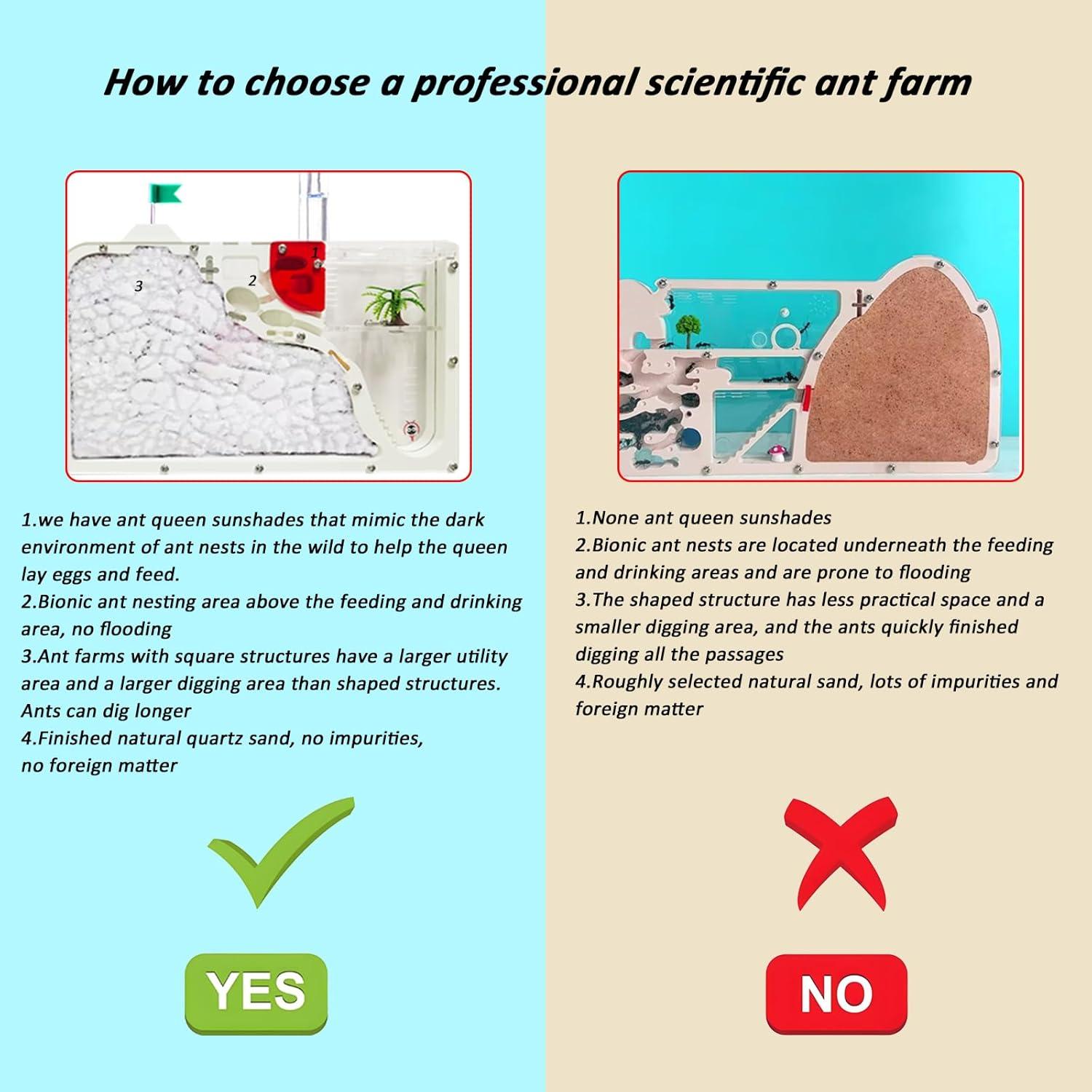 Castillo de Hormigas EXBEPE 23.88x14.99cm Educativo