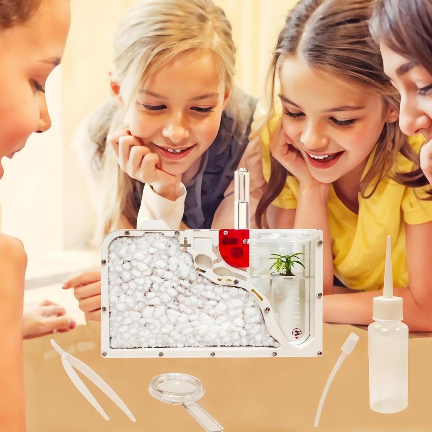 Castillo de Hormigas EXBEPE 23.88x14.99cm Educativo