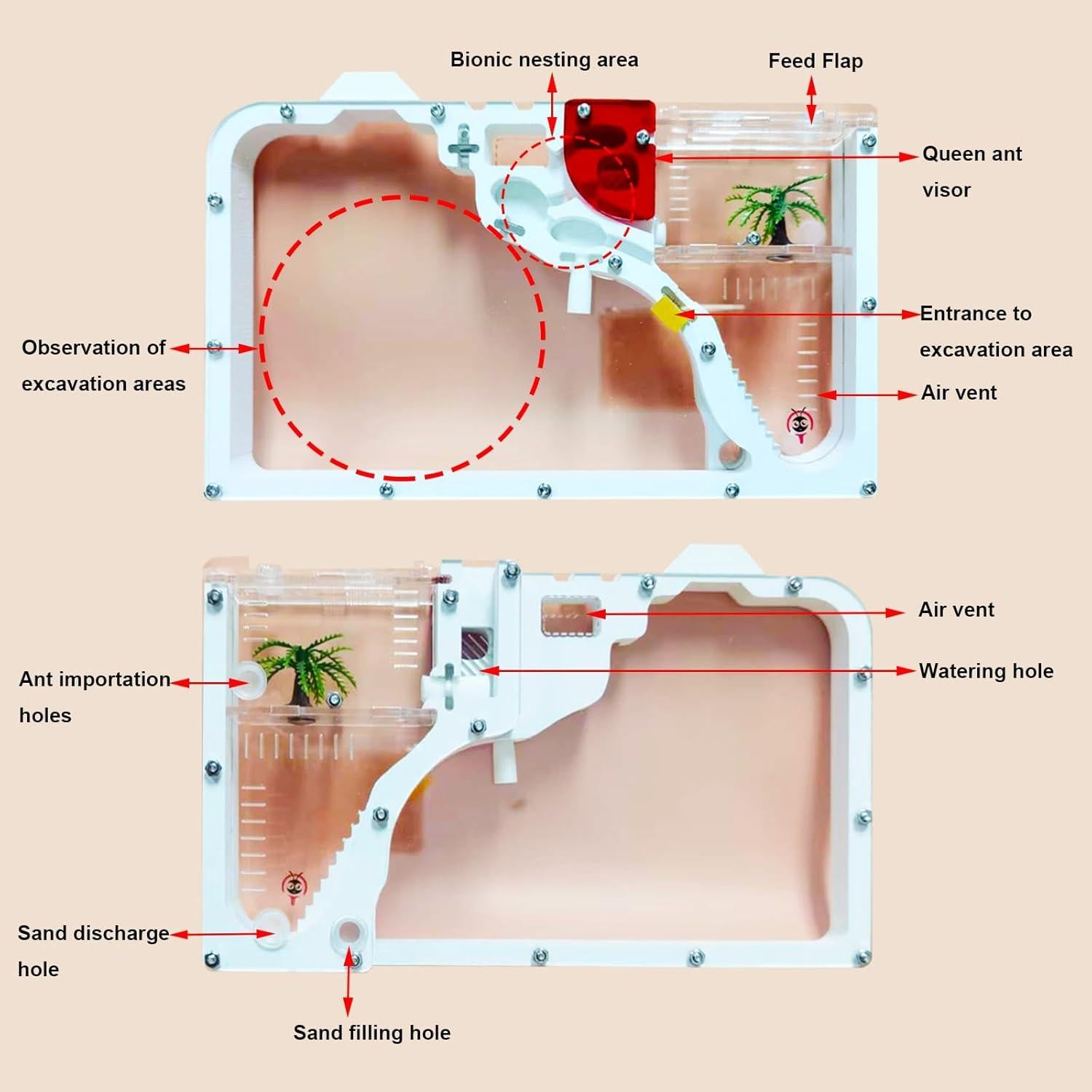 Castillo de Hormigas EXBEPE 23.88x14.99cm Educativo
