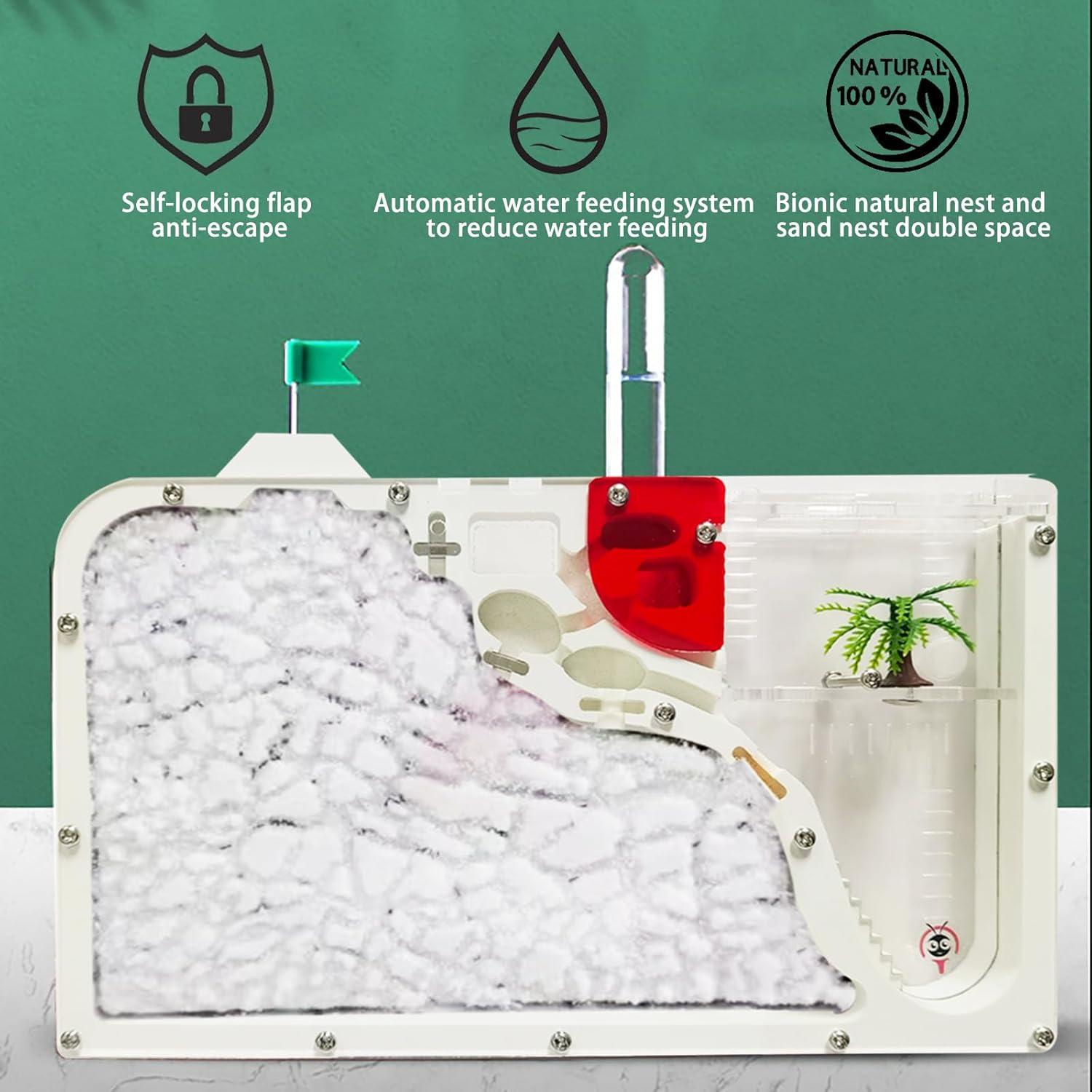 Castillo de Hormigas EXBEPE 23.88x14.99cm Educativo