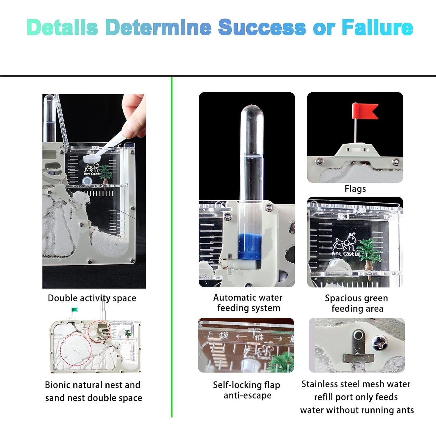 Castillo de Hormigas EXBEPE 23.88x14.99cm Educativo