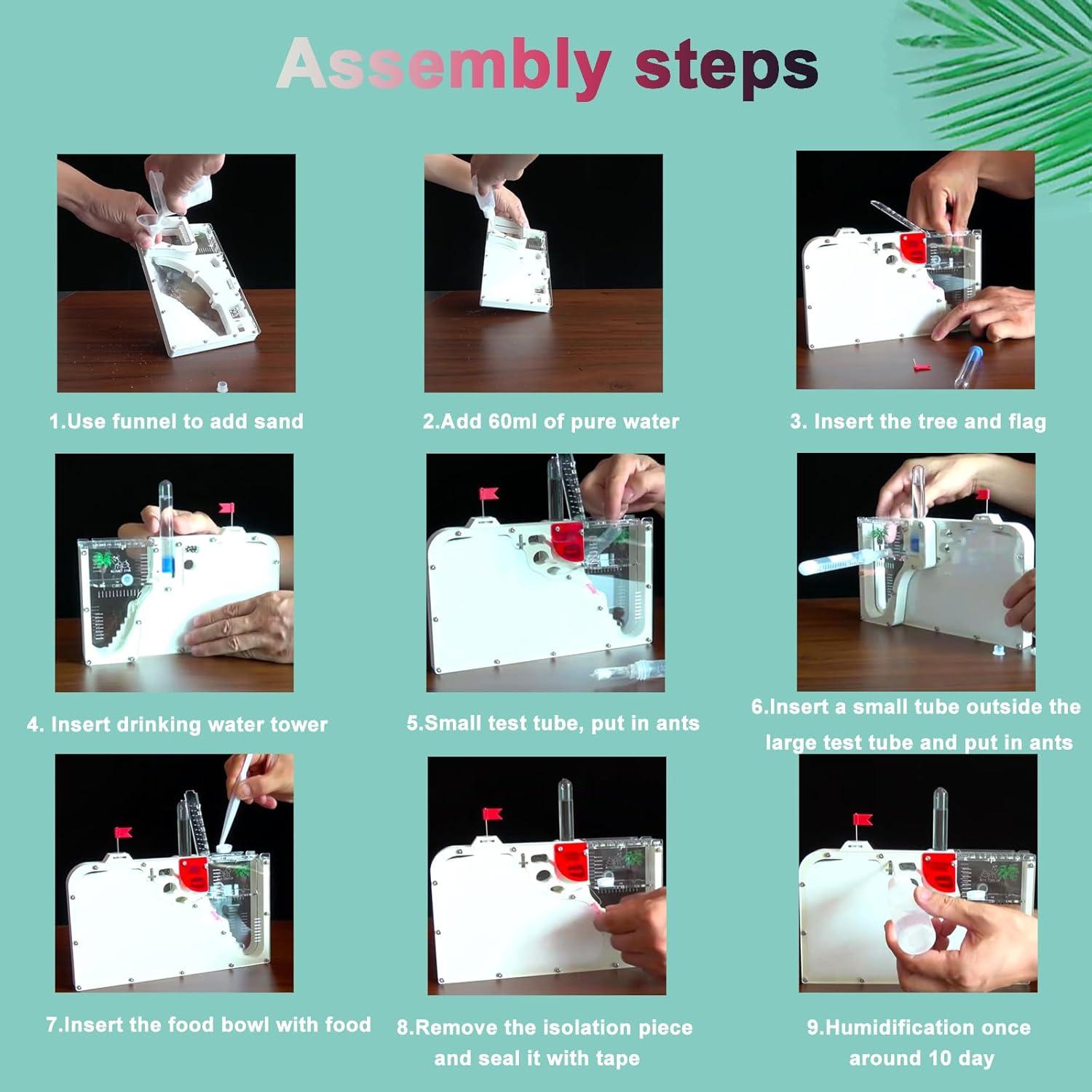 Castillo de Hormigas EXBEPE 23.88x14.99cm Educativo