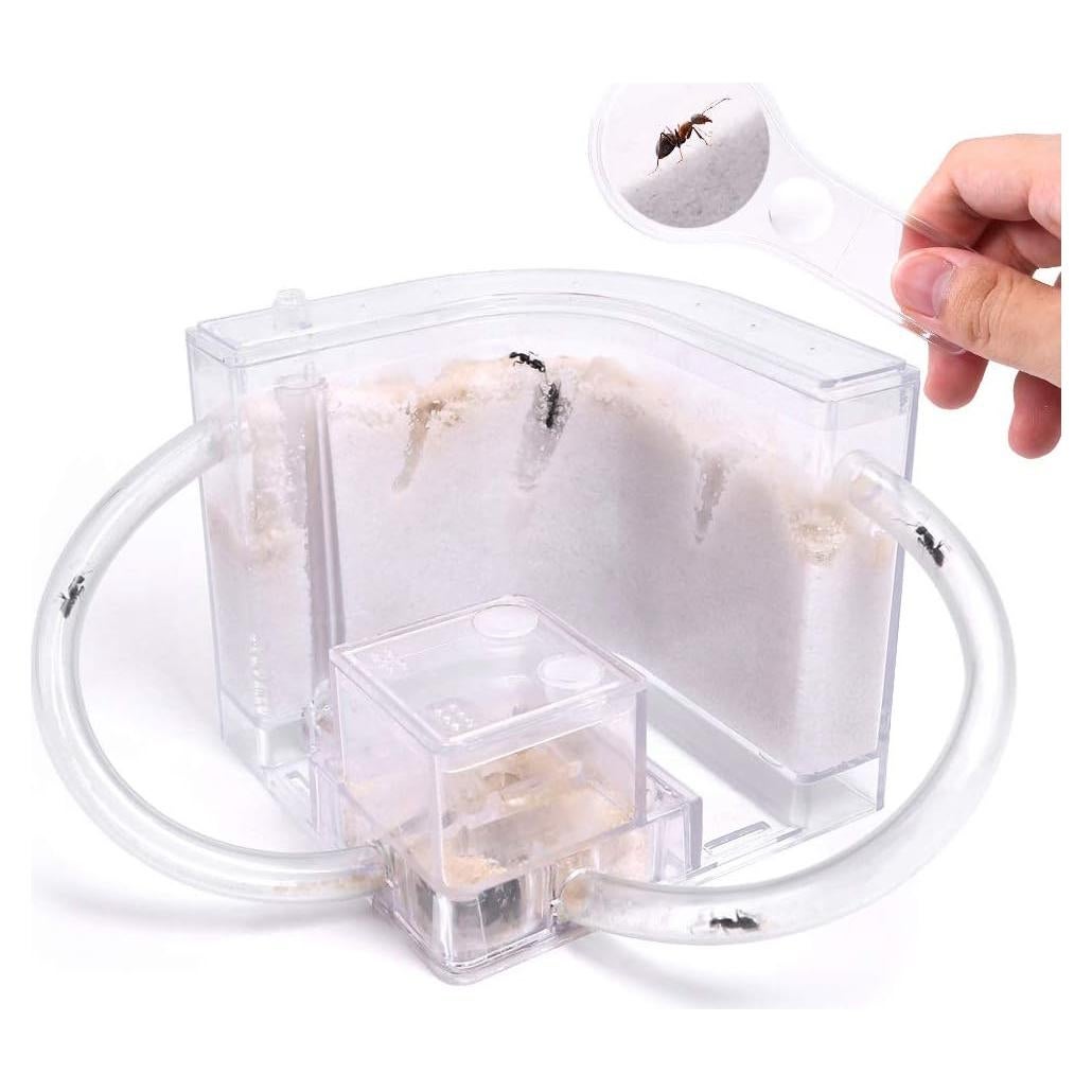 Castillo de Hormigas de Arena NAVAdeal con Tubos Conectores