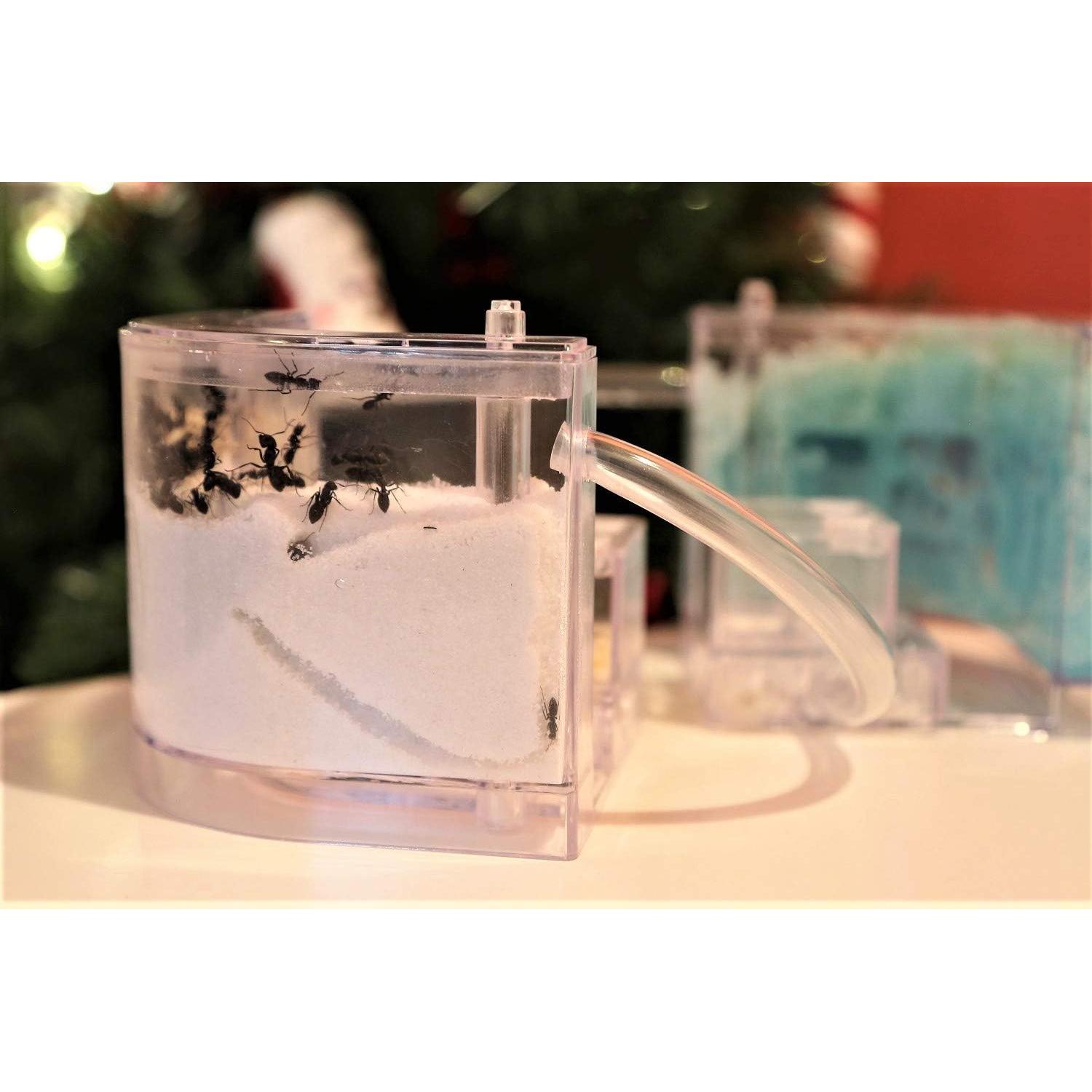 Castillo de Hormigas de Arena NAVAdeal con Tubos Conectores