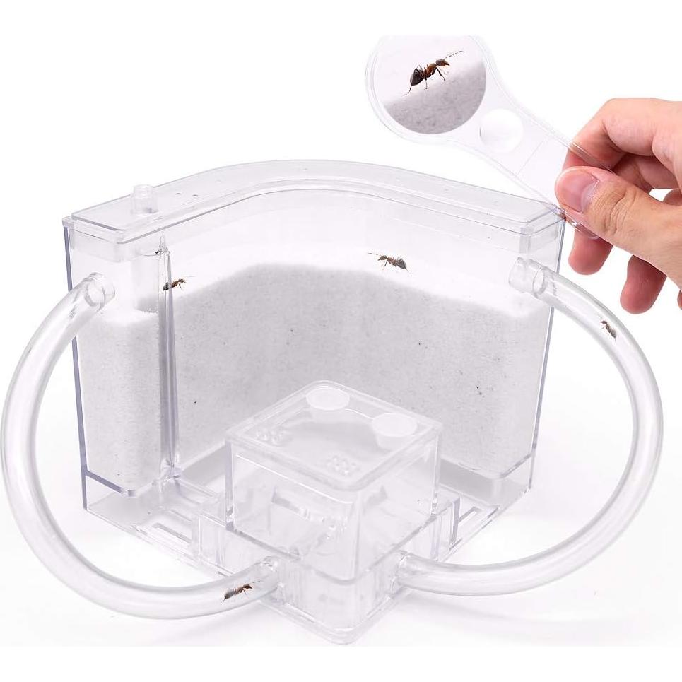 Castillo de Hormigas de Arena NAVAdeal con Tubos Conectores