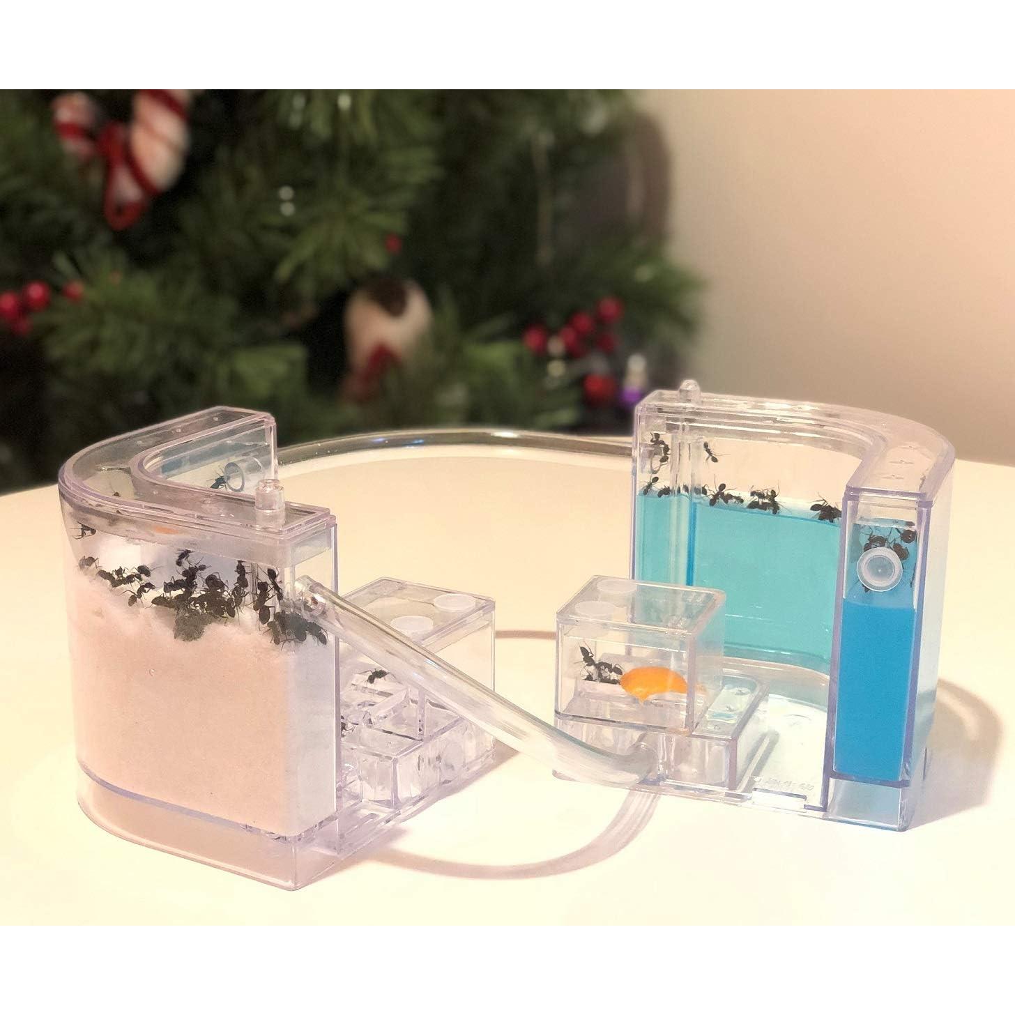 Castillo de Hormigas de Arena NAVAdeal con Tubos Conectores