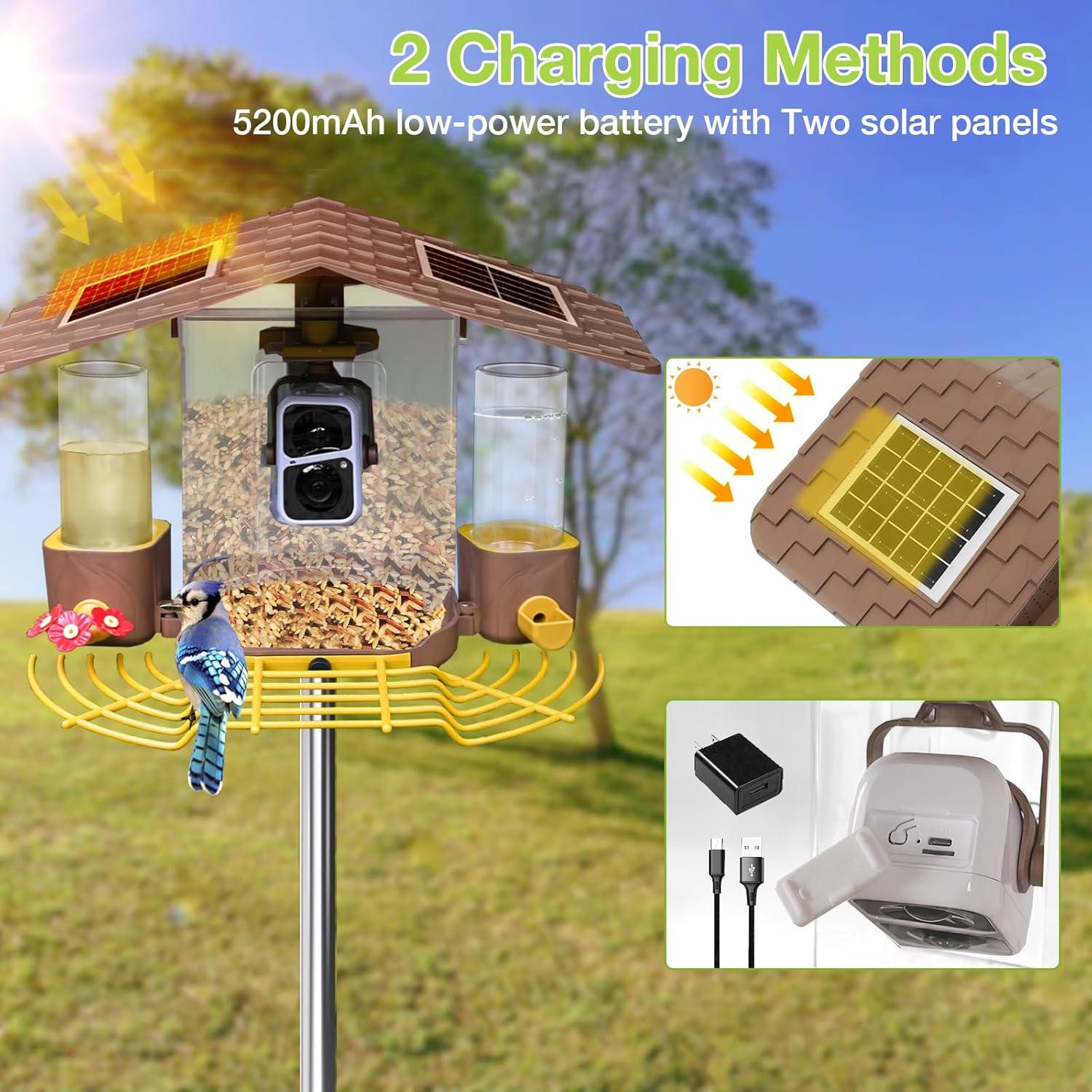 Comedero para Aves Joyqinchen con Cámara 1080P Solar 1.5L