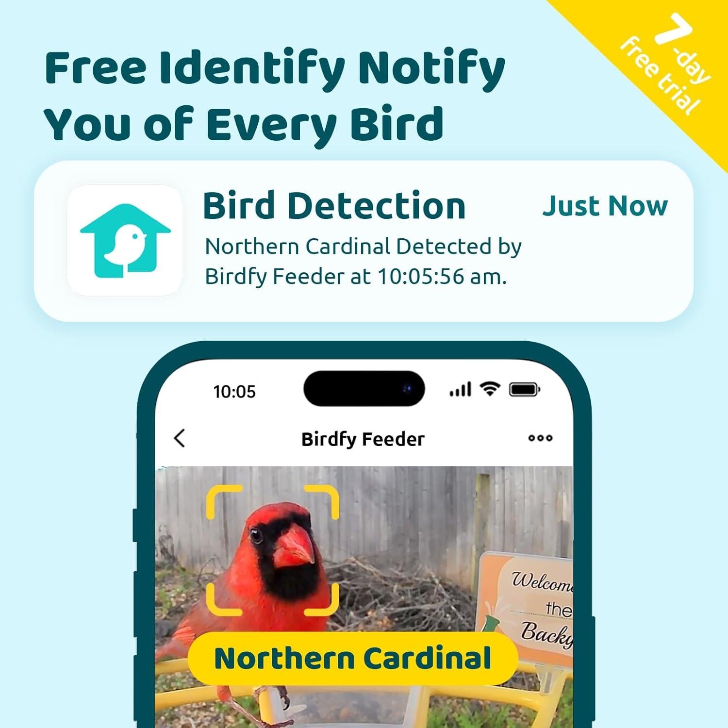 Comedero para Aves NETVUE Birdfy Pro con Cámara 1.5L