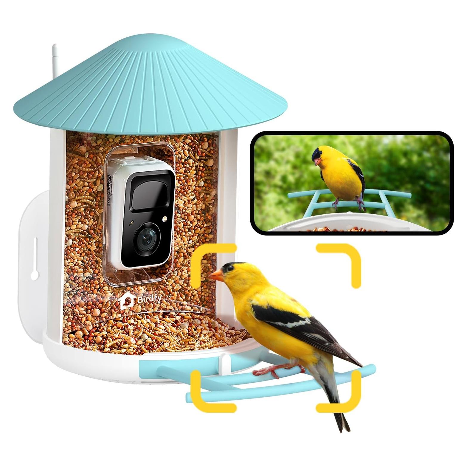 Alimentador de Aves Inteligente NETVUE Birdfy 1.5L Azul