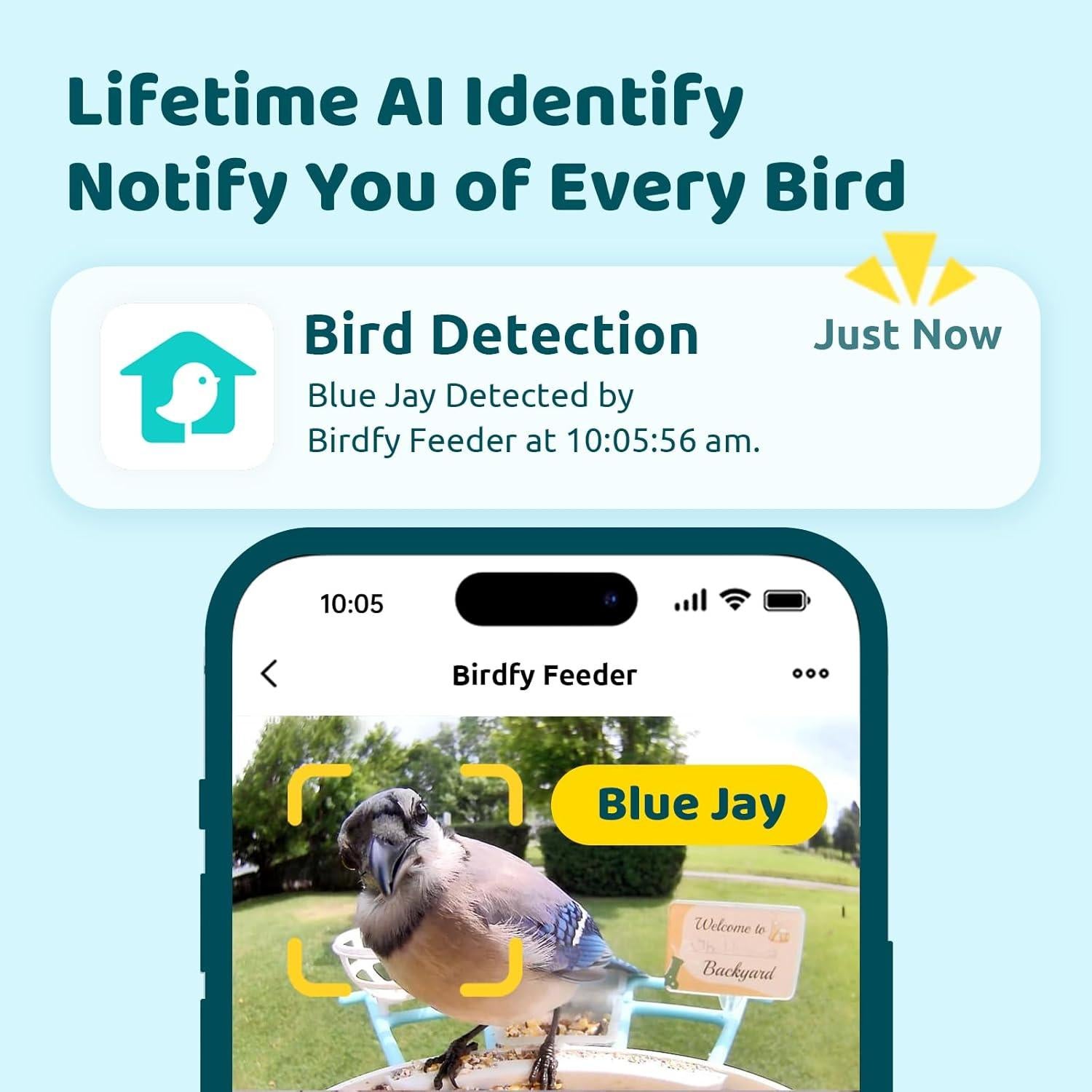 Alimentador de Aves Inteligente NETVUE Birdfy 1.5L Azul